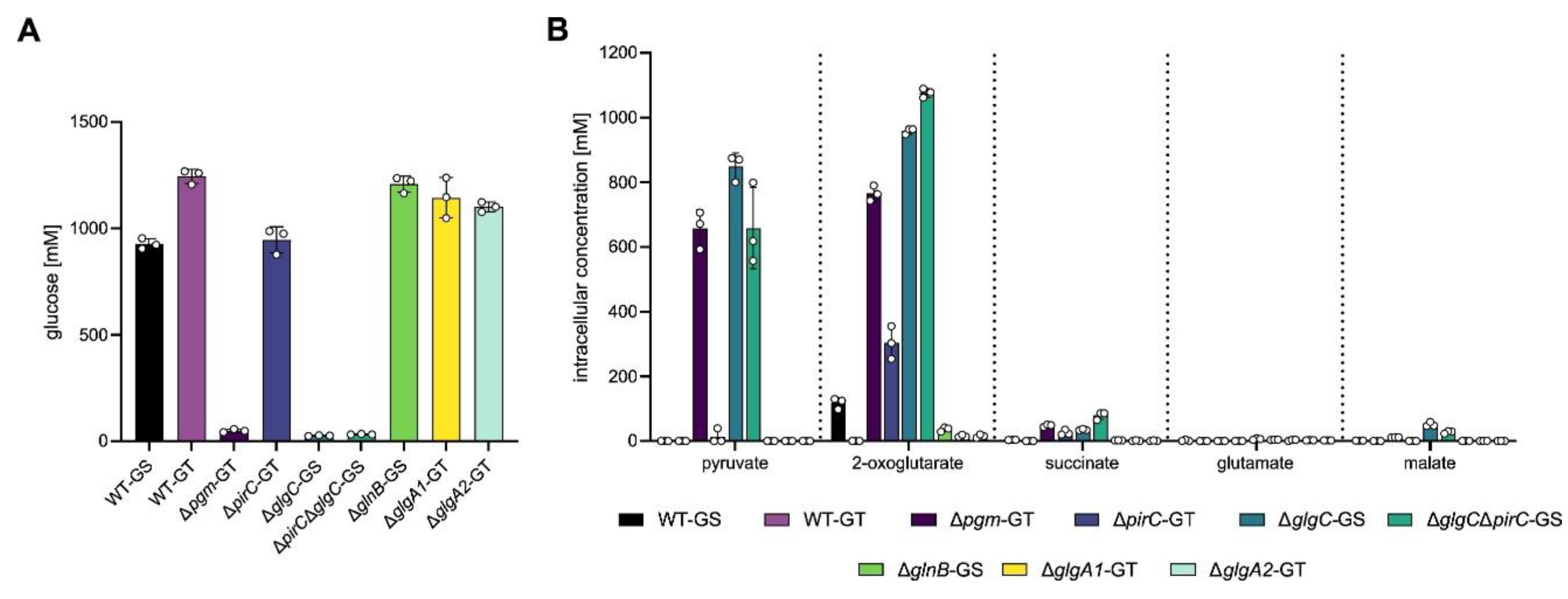 Preprints 185005 g004