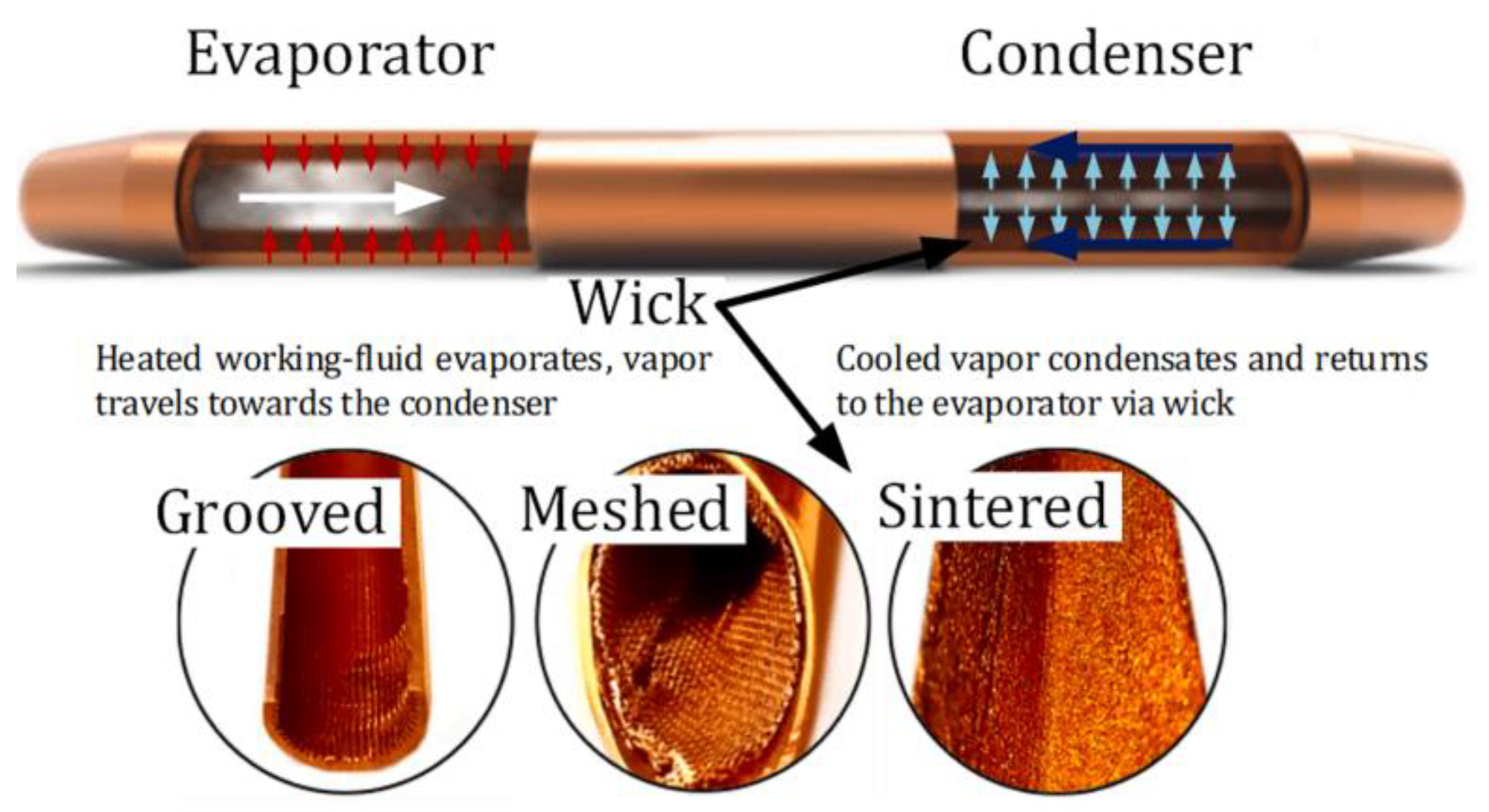 Preprints 167385 g006