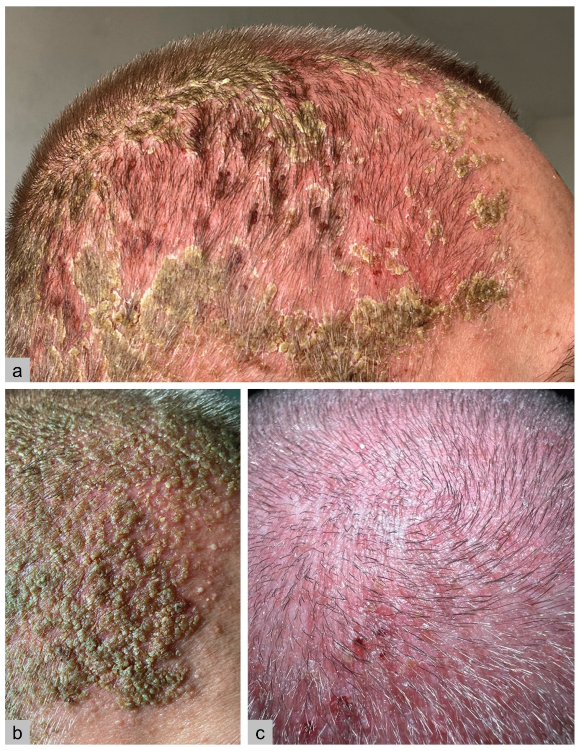 Preprints 173883 g001