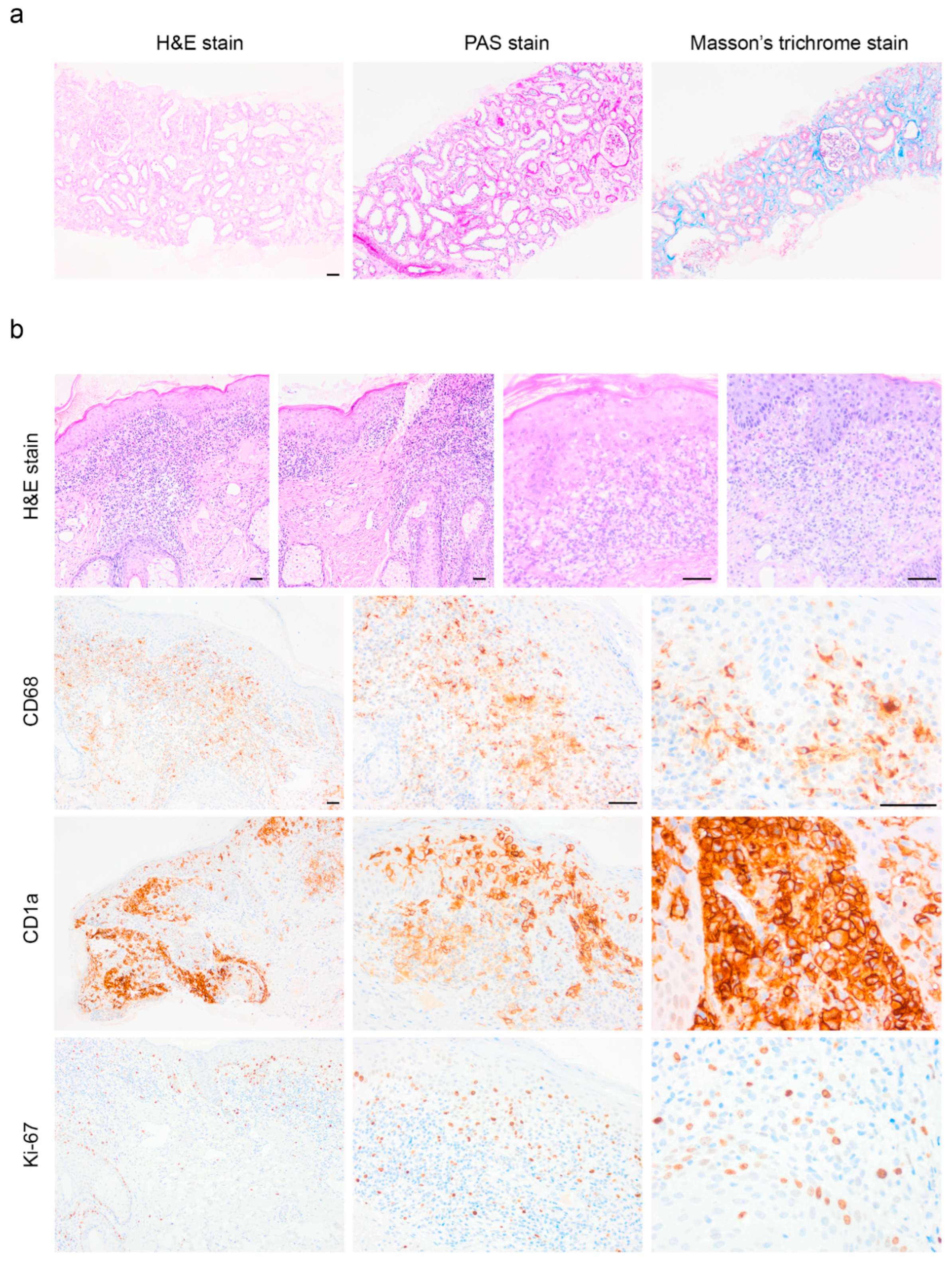 Preprints 173883 g003
