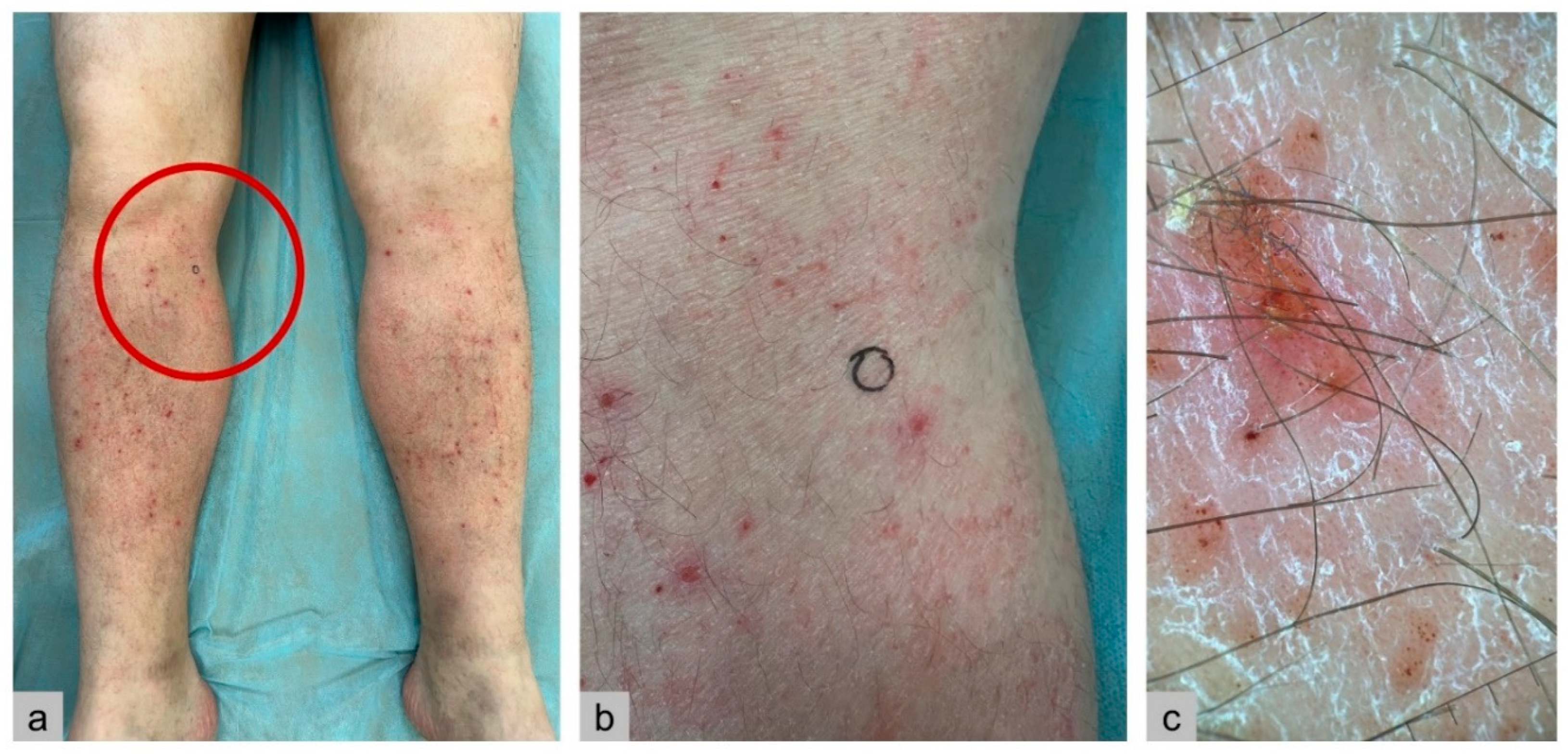 Preprints 173883 g004