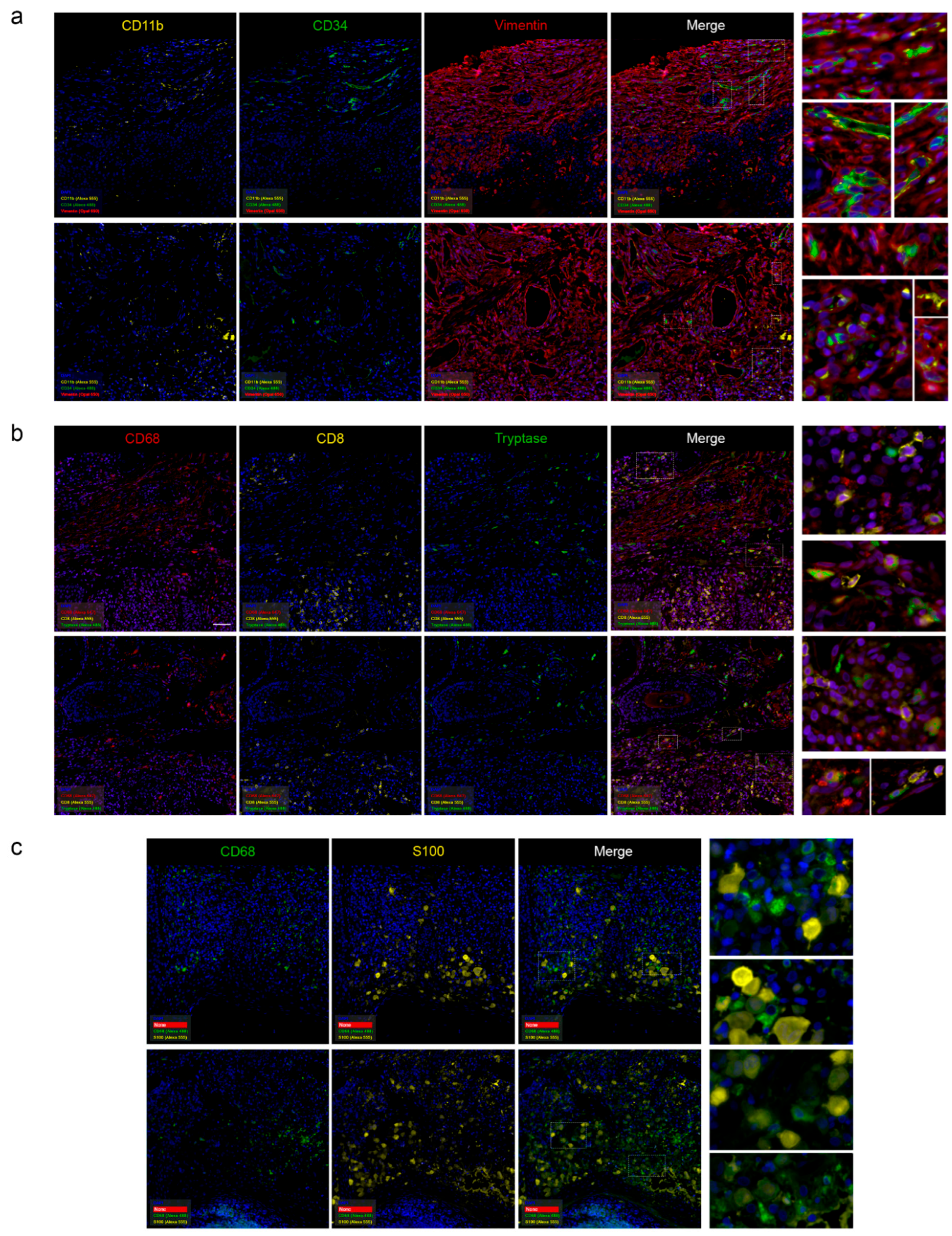 Preprints 173883 g008