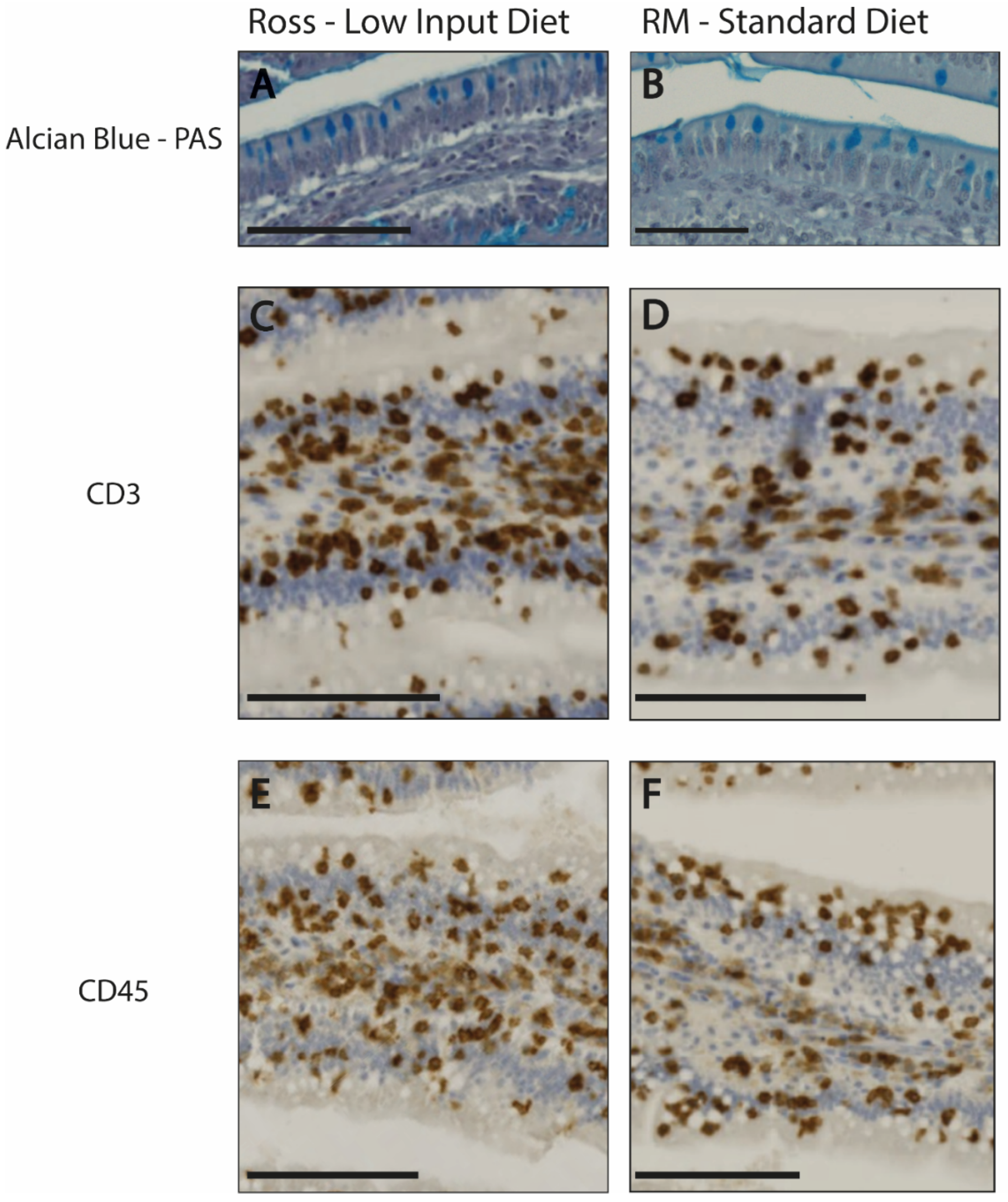 Preprints 148037 g001