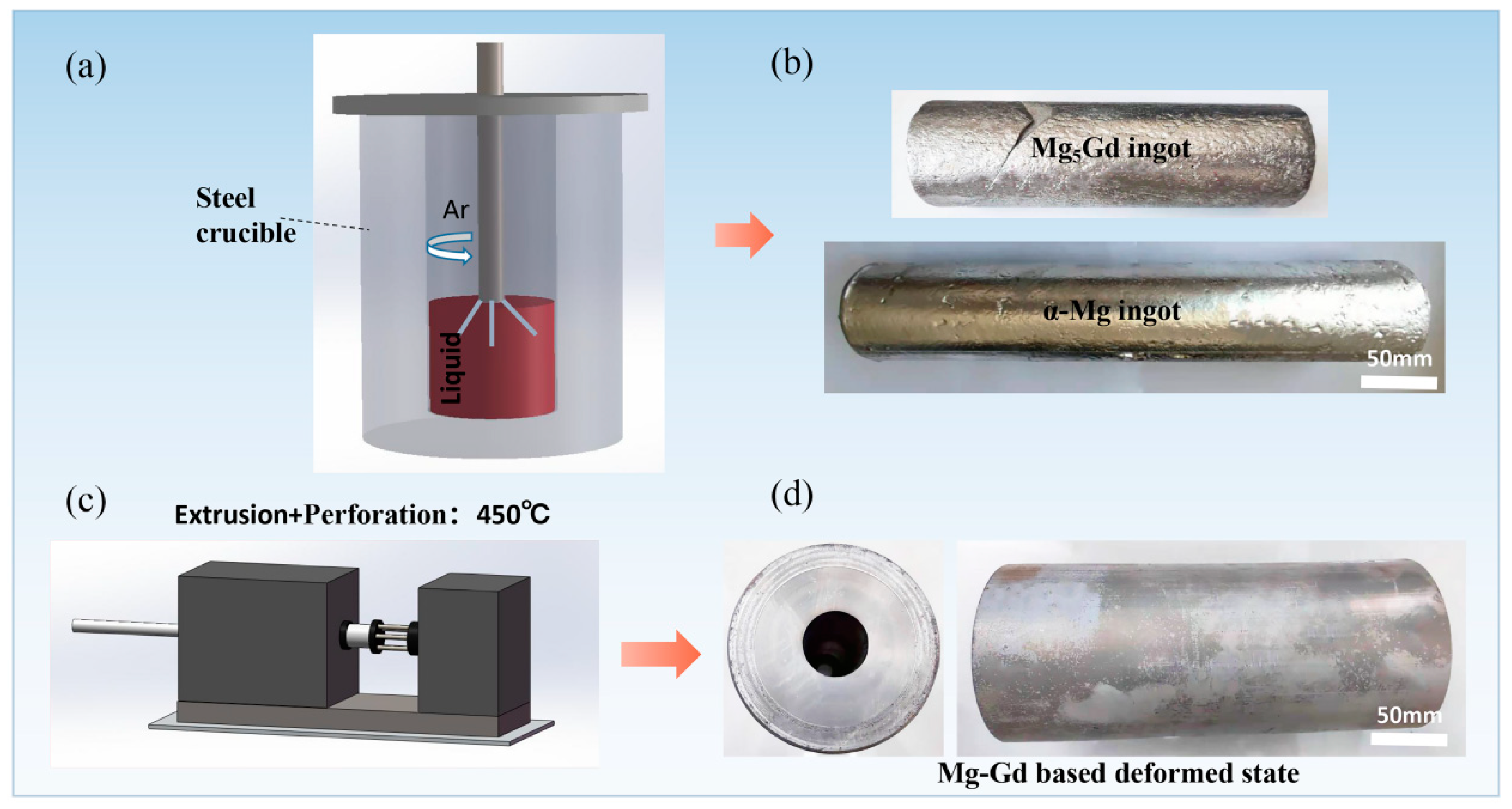 Preprints 143181 g001