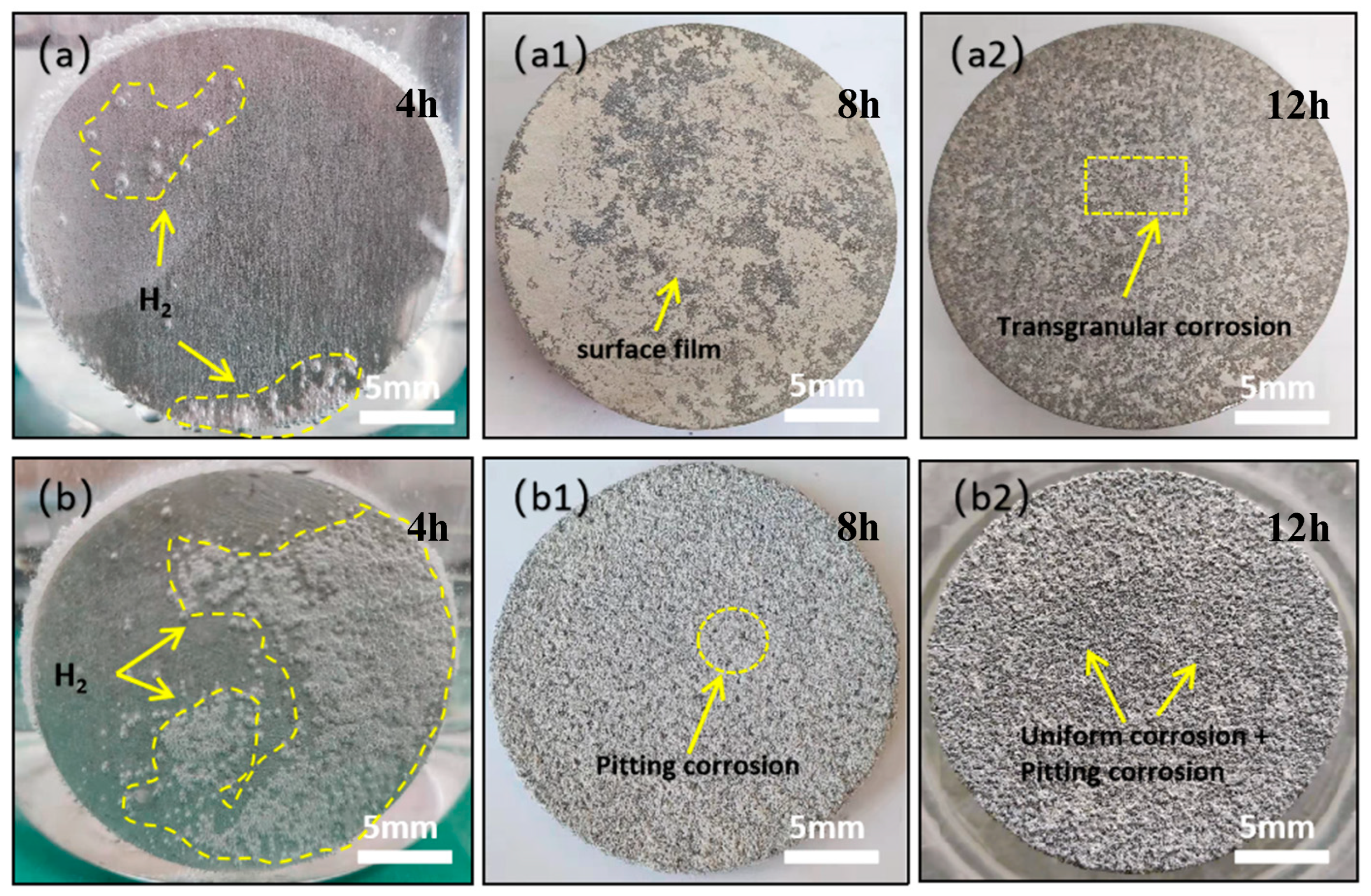 Preprints 143181 g003