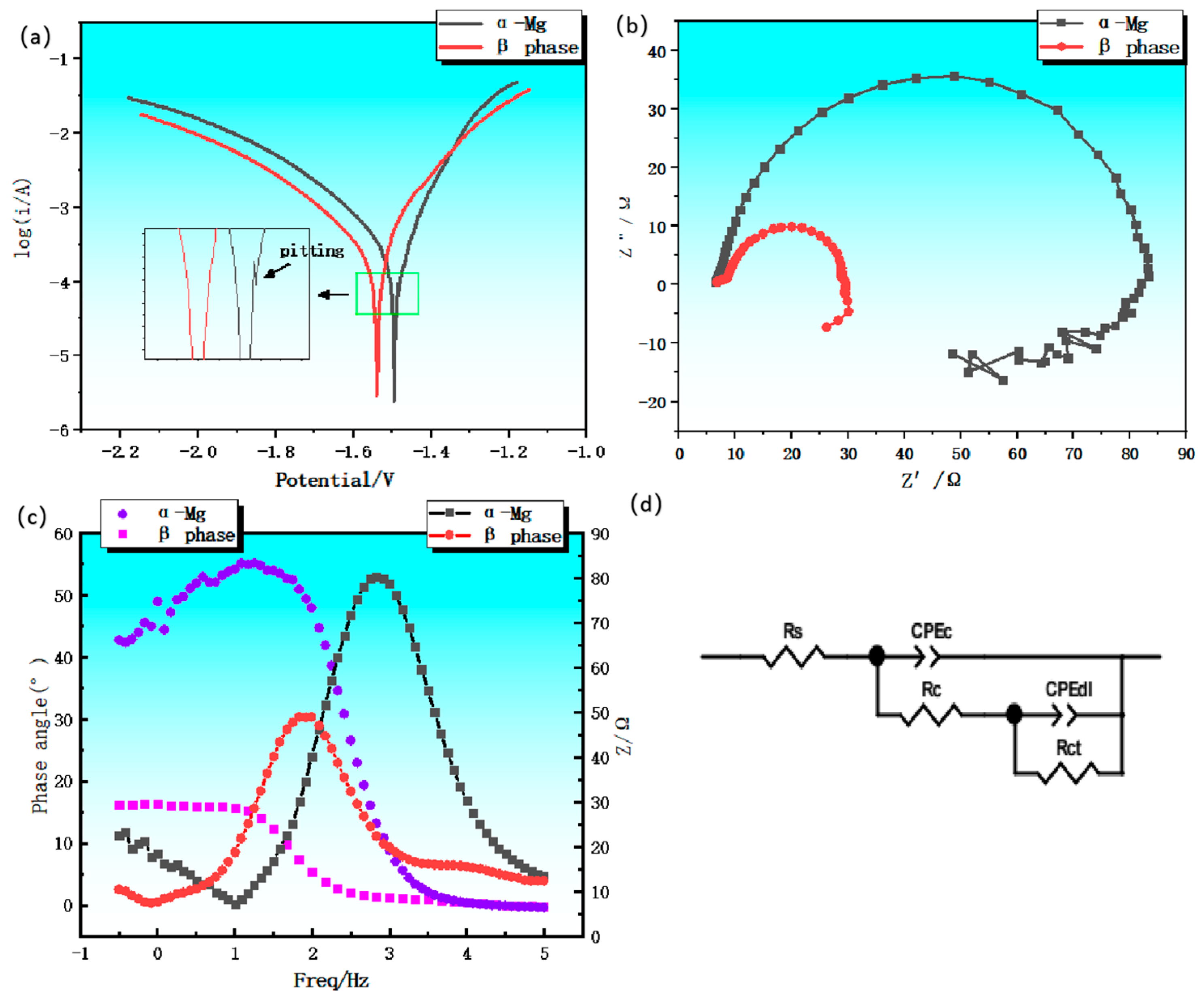 Preprints 143181 g007