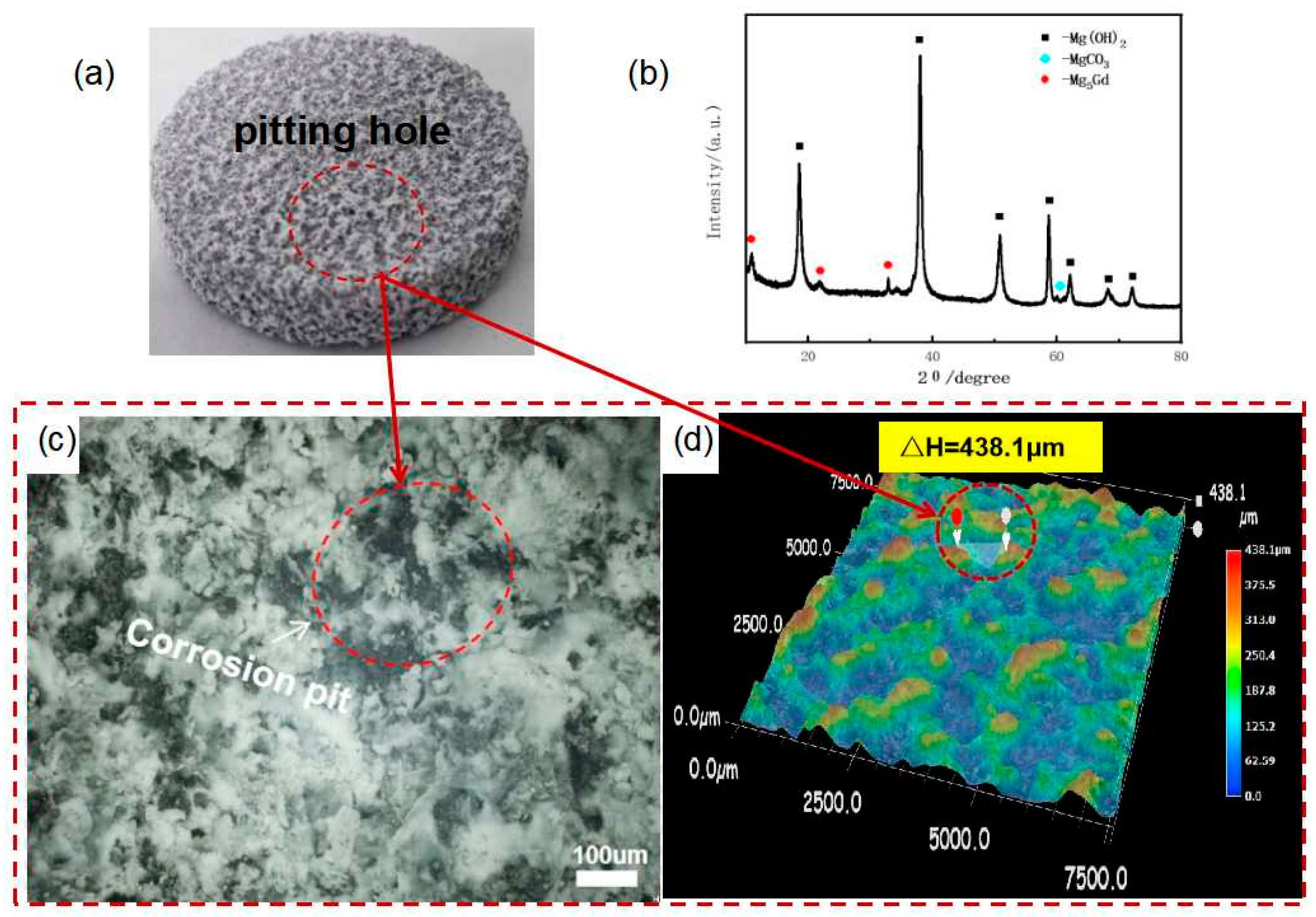 Preprints 143181 g009