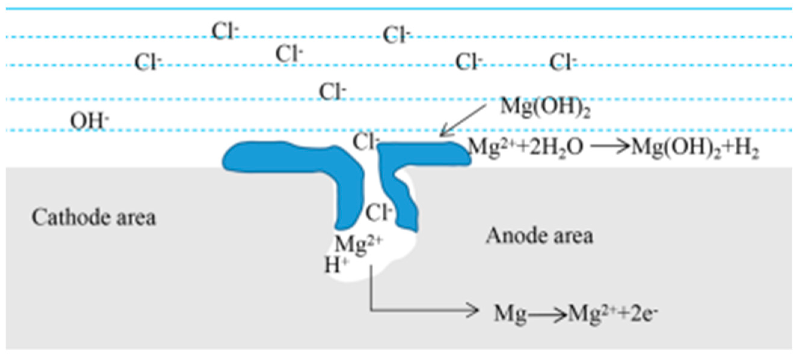Preprints 143181 g010