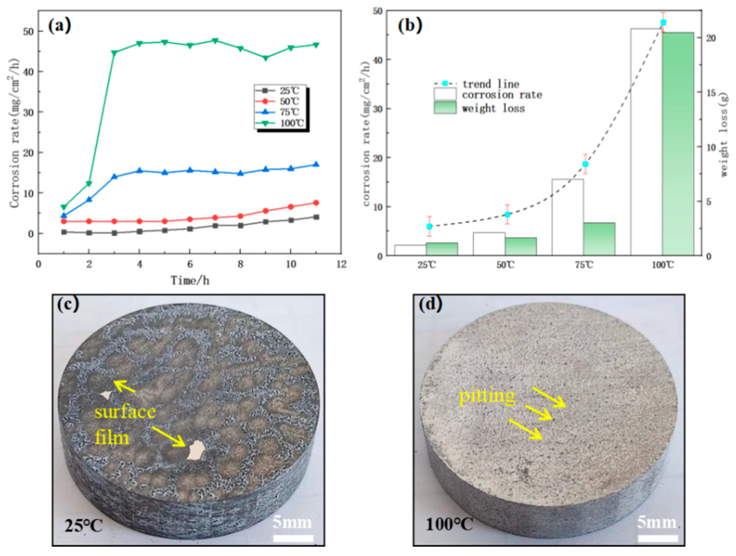 Preprints 143181 g011
