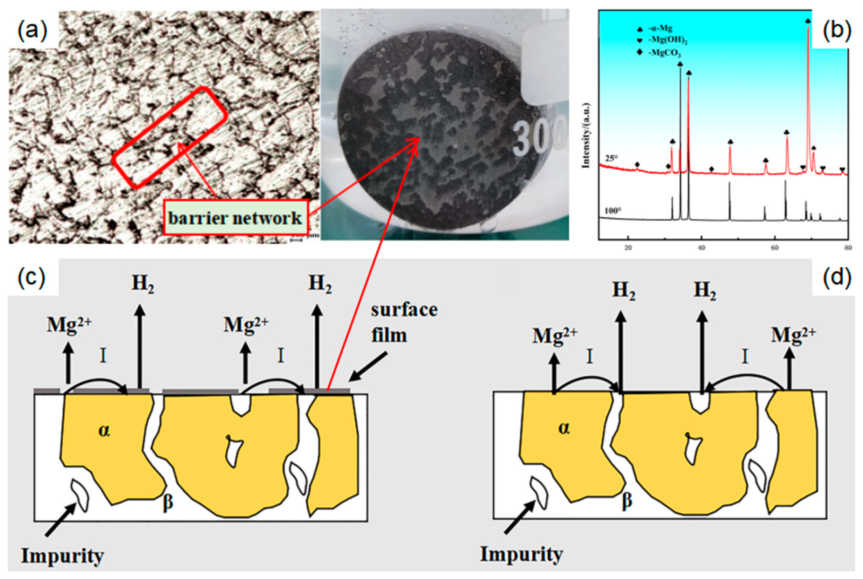 Preprints 143181 g012