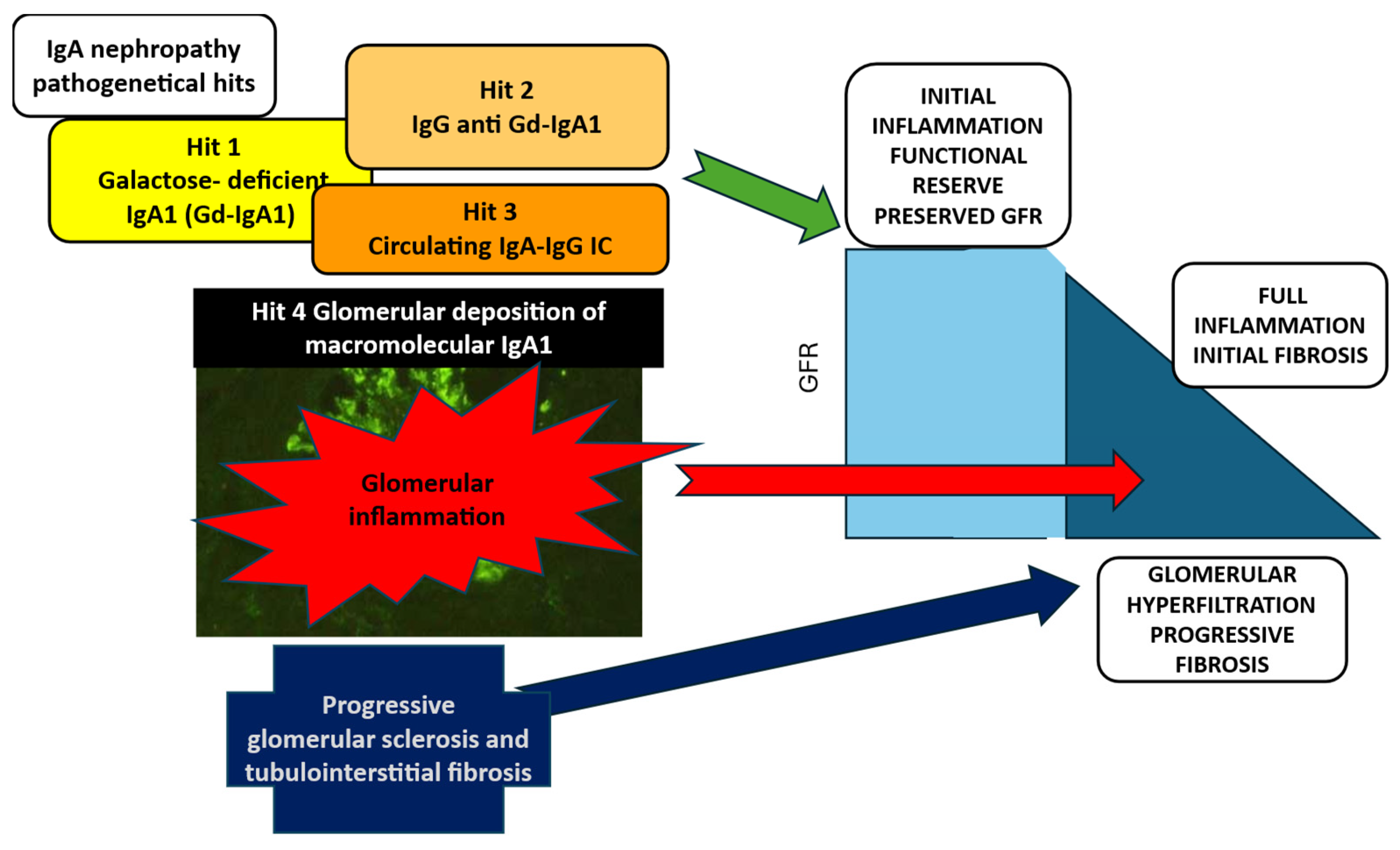 Preprints 158719 g001