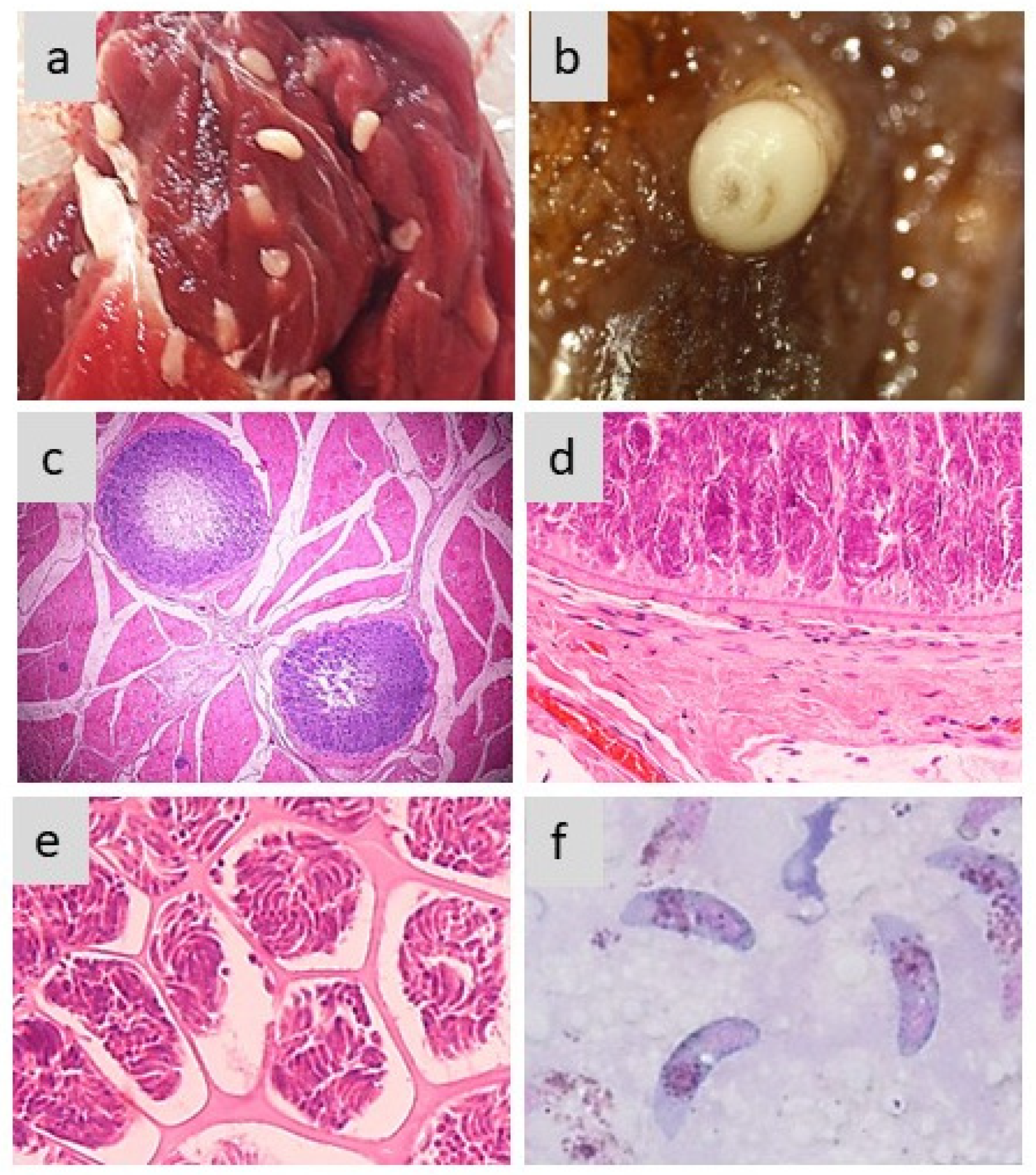 Preprints 95389 g002