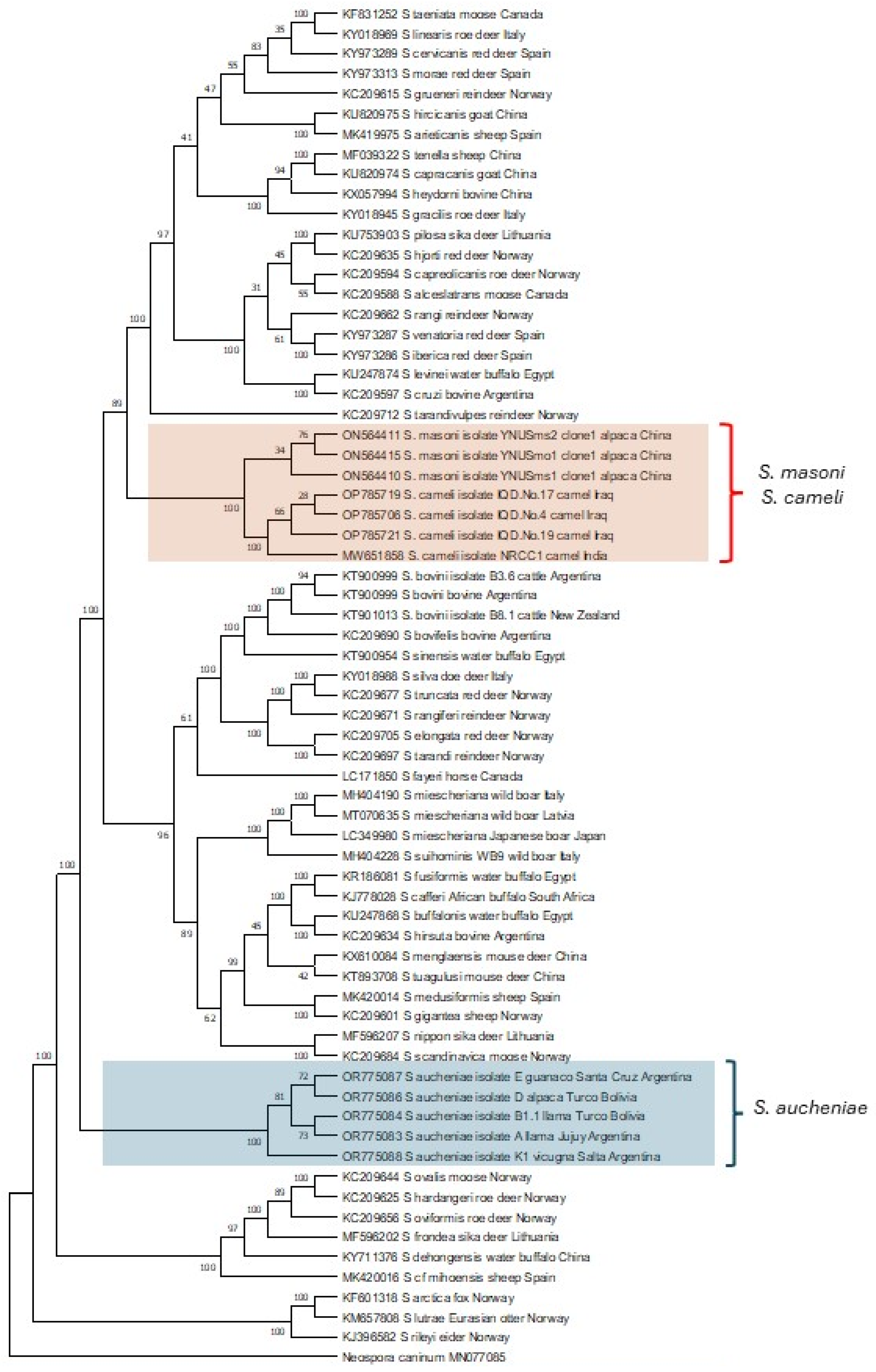 Preprints 95389 g003