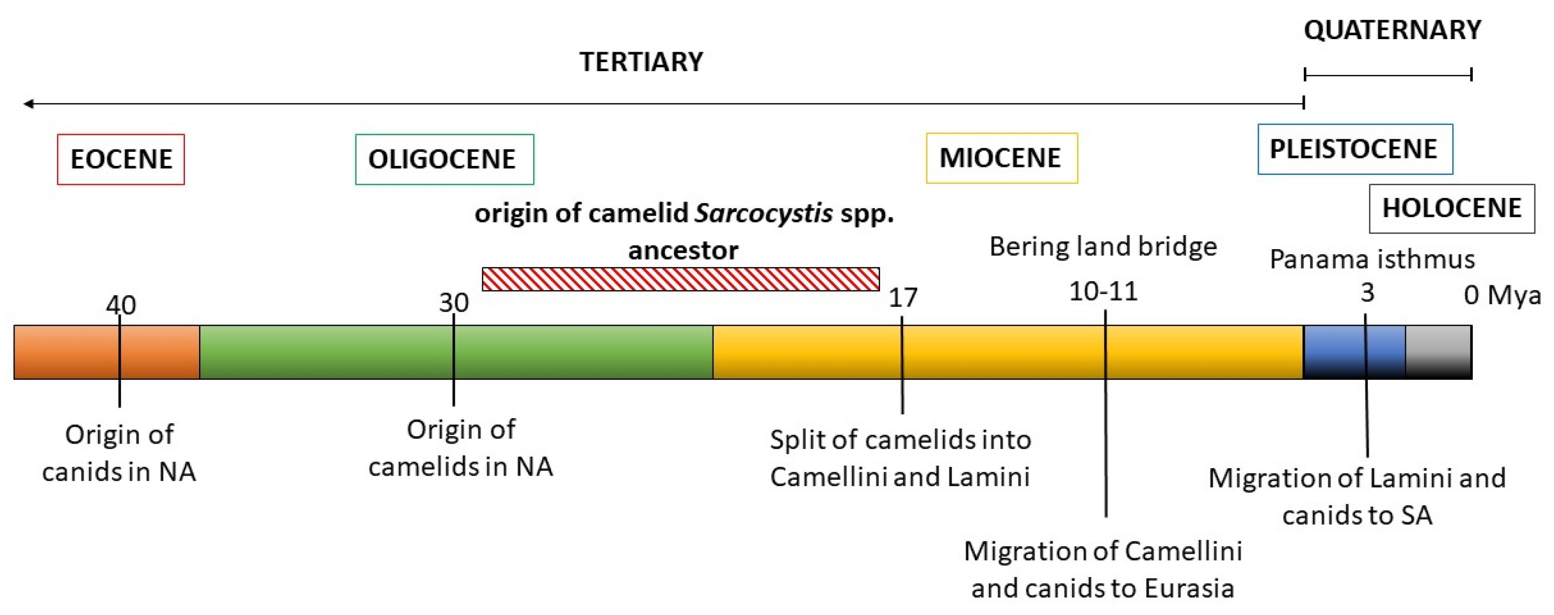 Preprints 95389 g004
