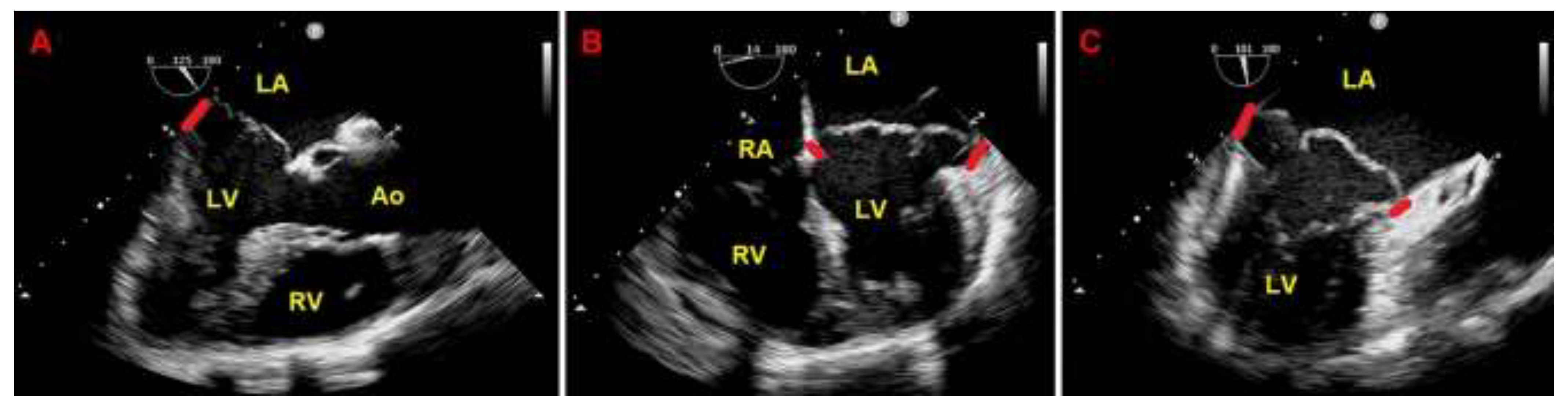 Preprints 150374 g004