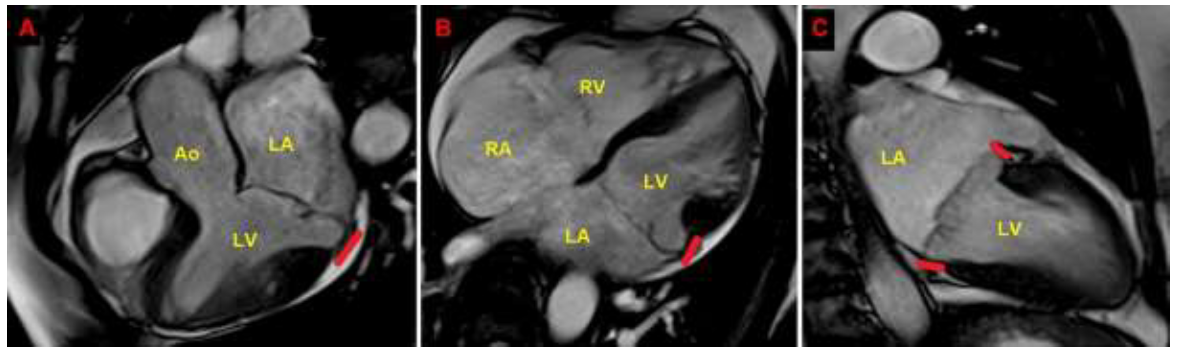 Preprints 150374 g005