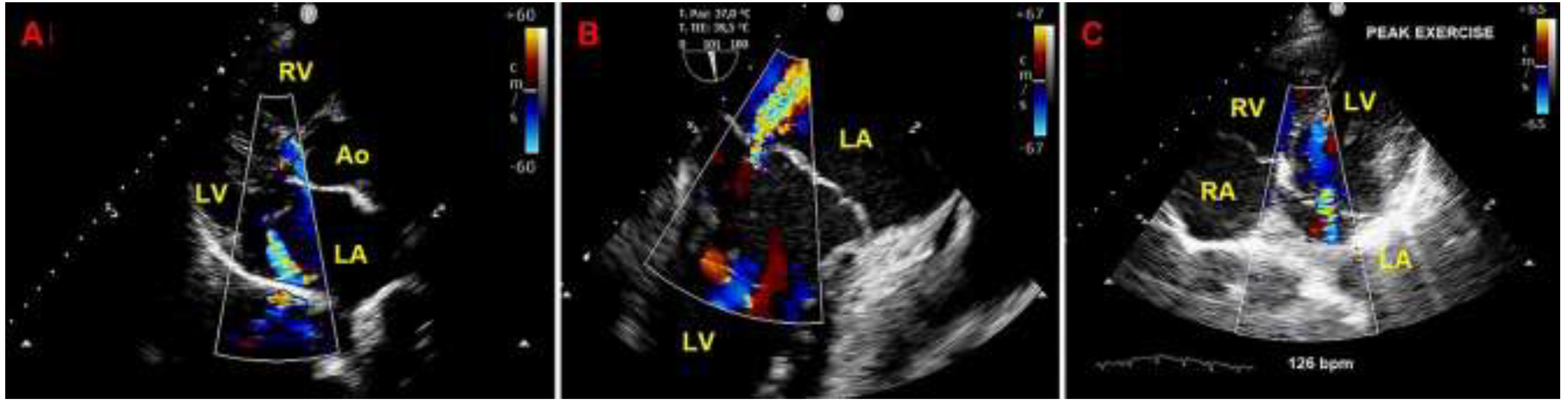 Preprints 150374 g007