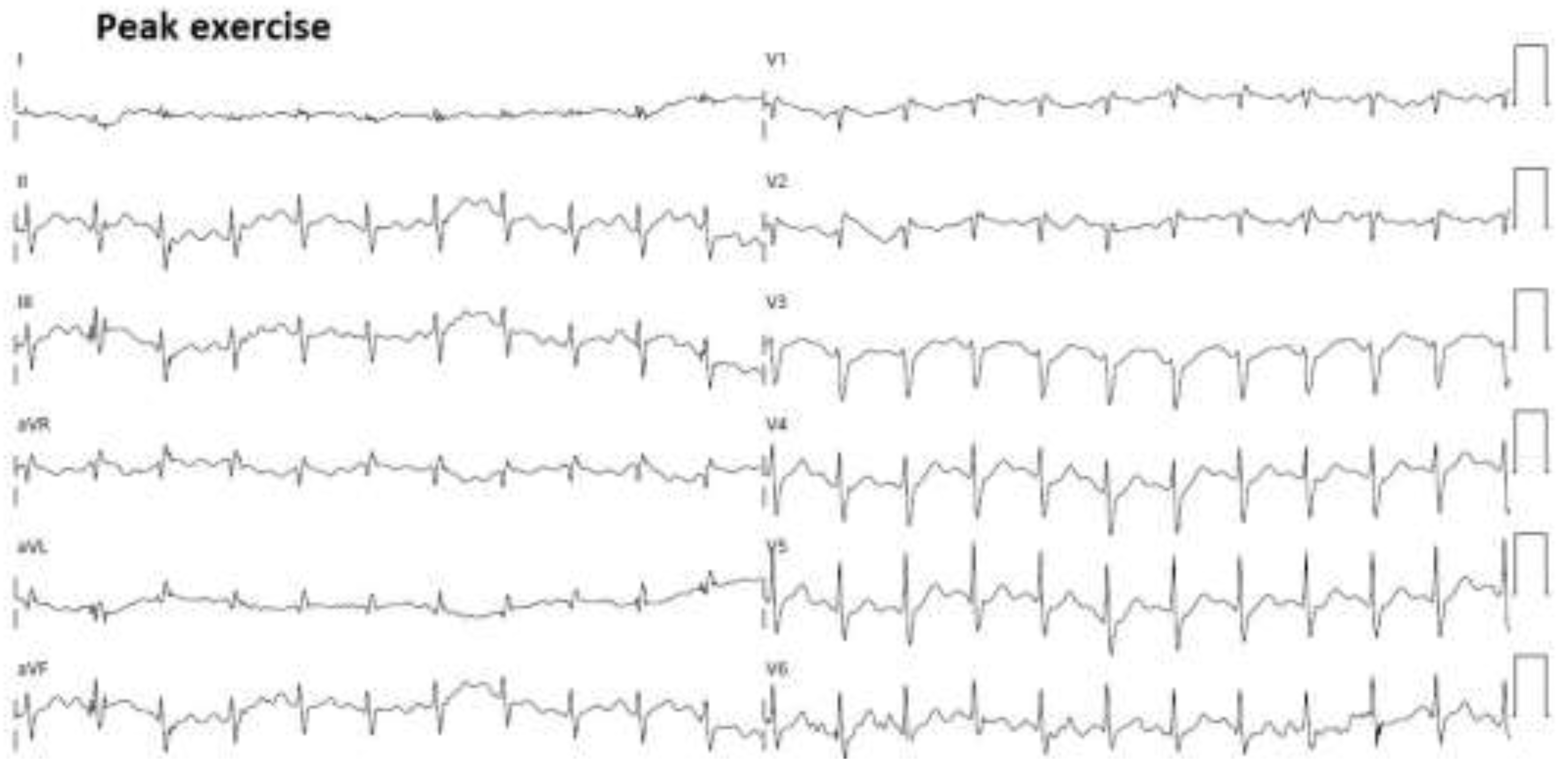 Preprints 150374 g008