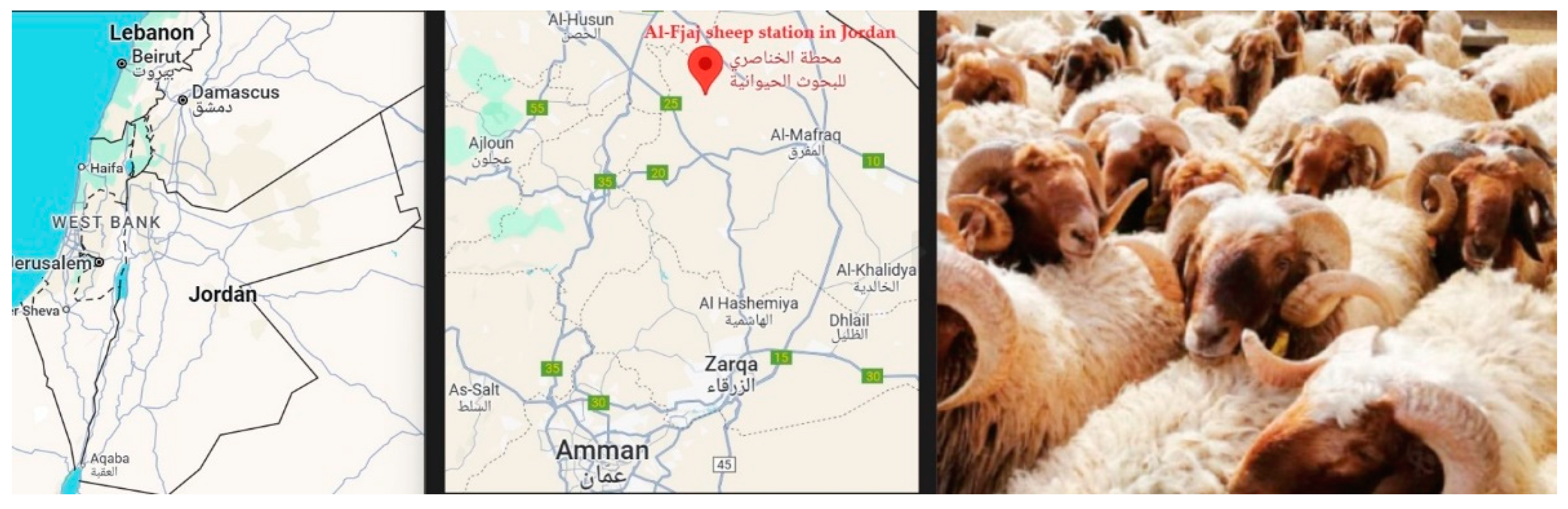 Preprints 138390 g001