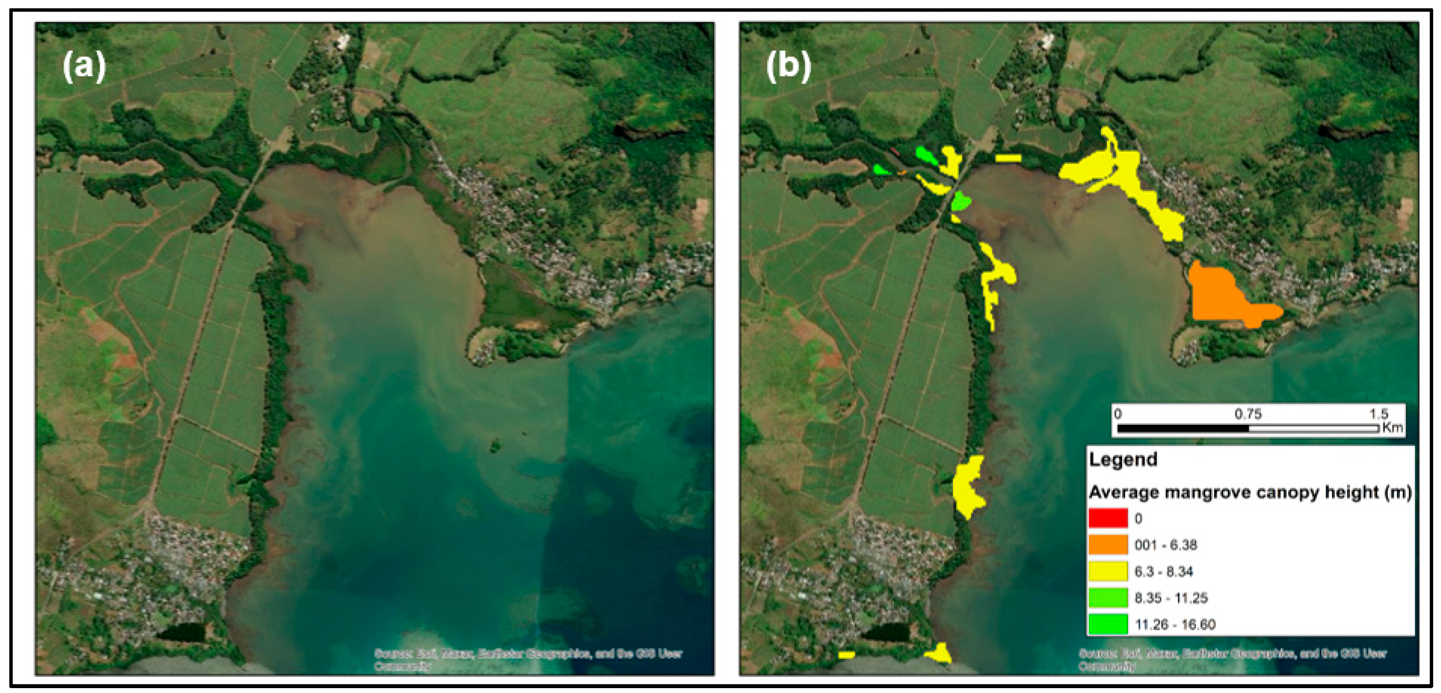 Preprints 191263 g003