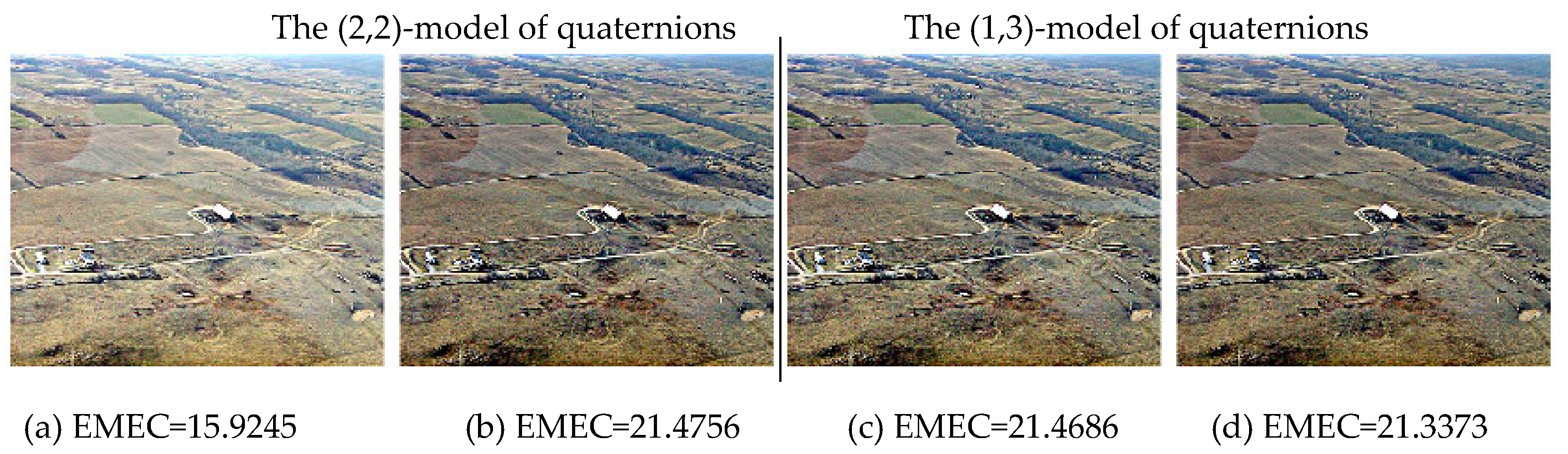 Preprints 145214 g009