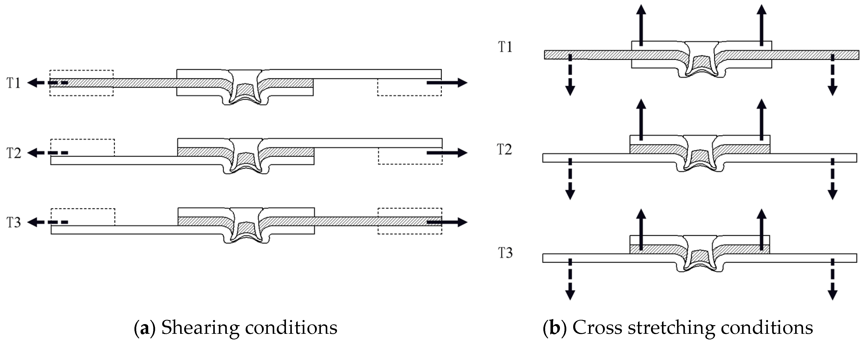 Preprints 156816 g001