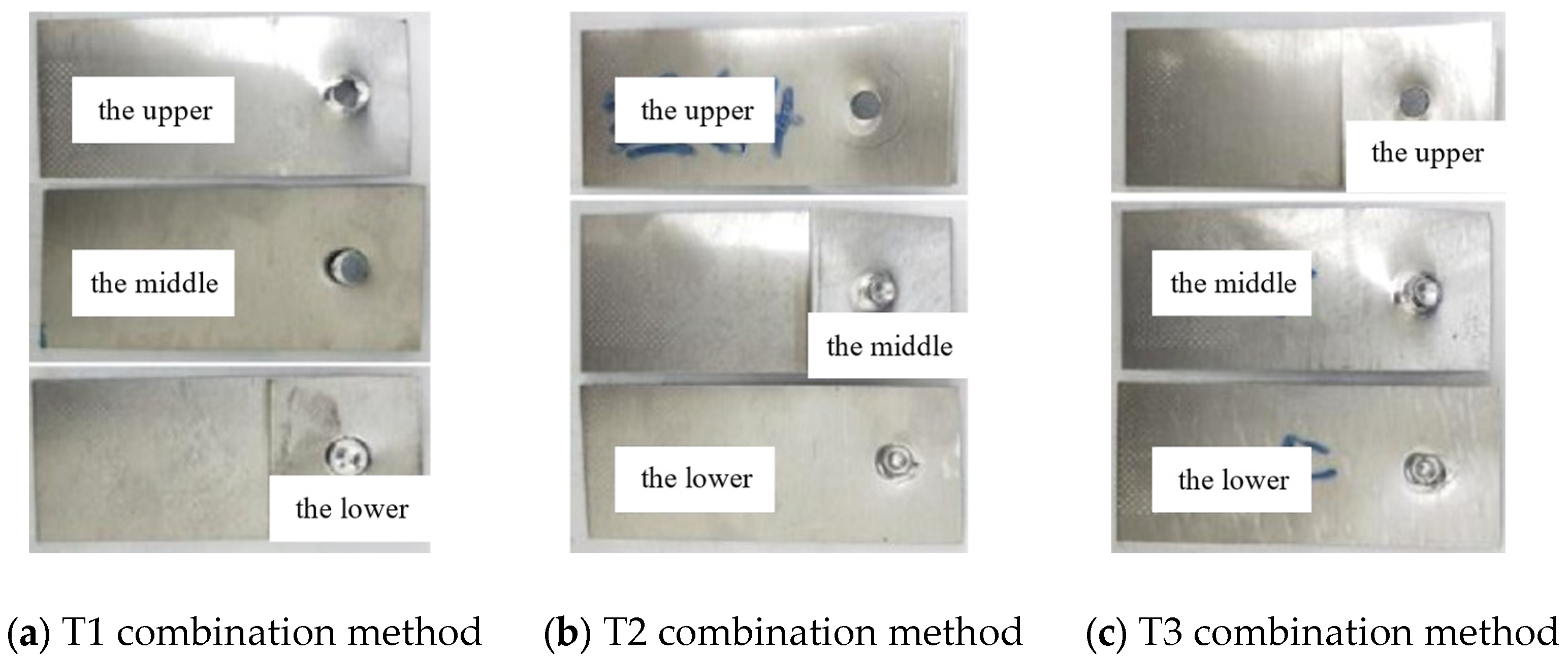 Preprints 156816 g005