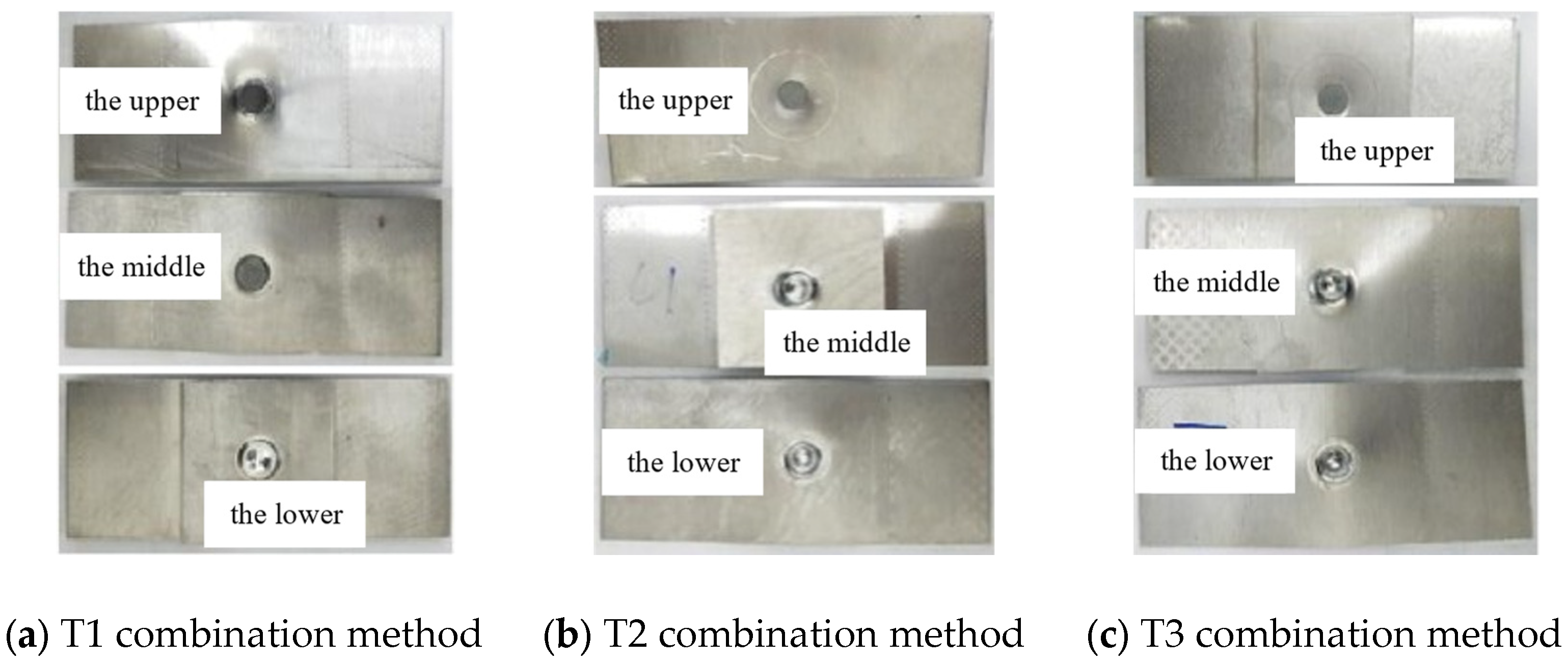 Preprints 156816 g006
