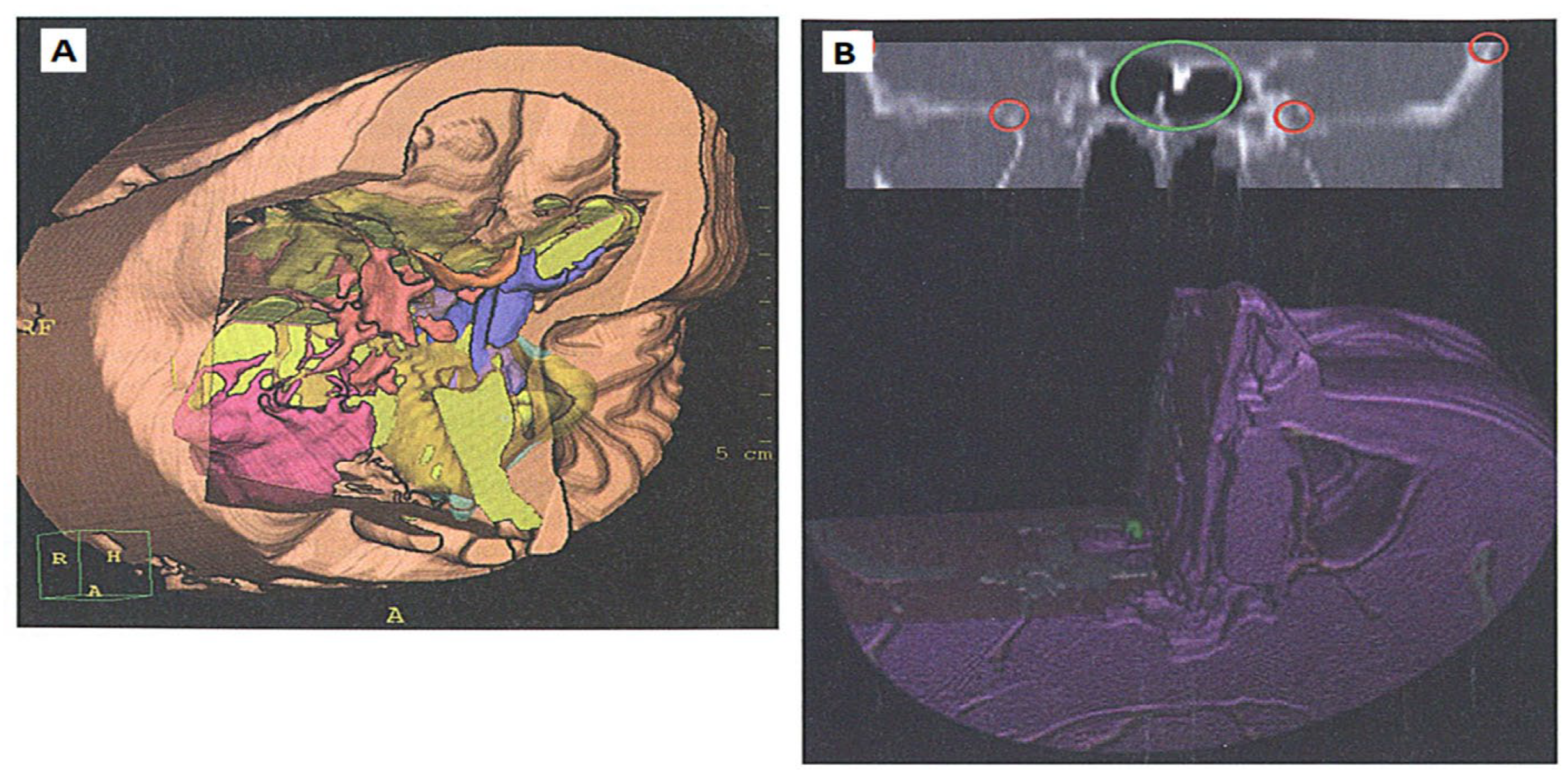 Preprints 167931 g010