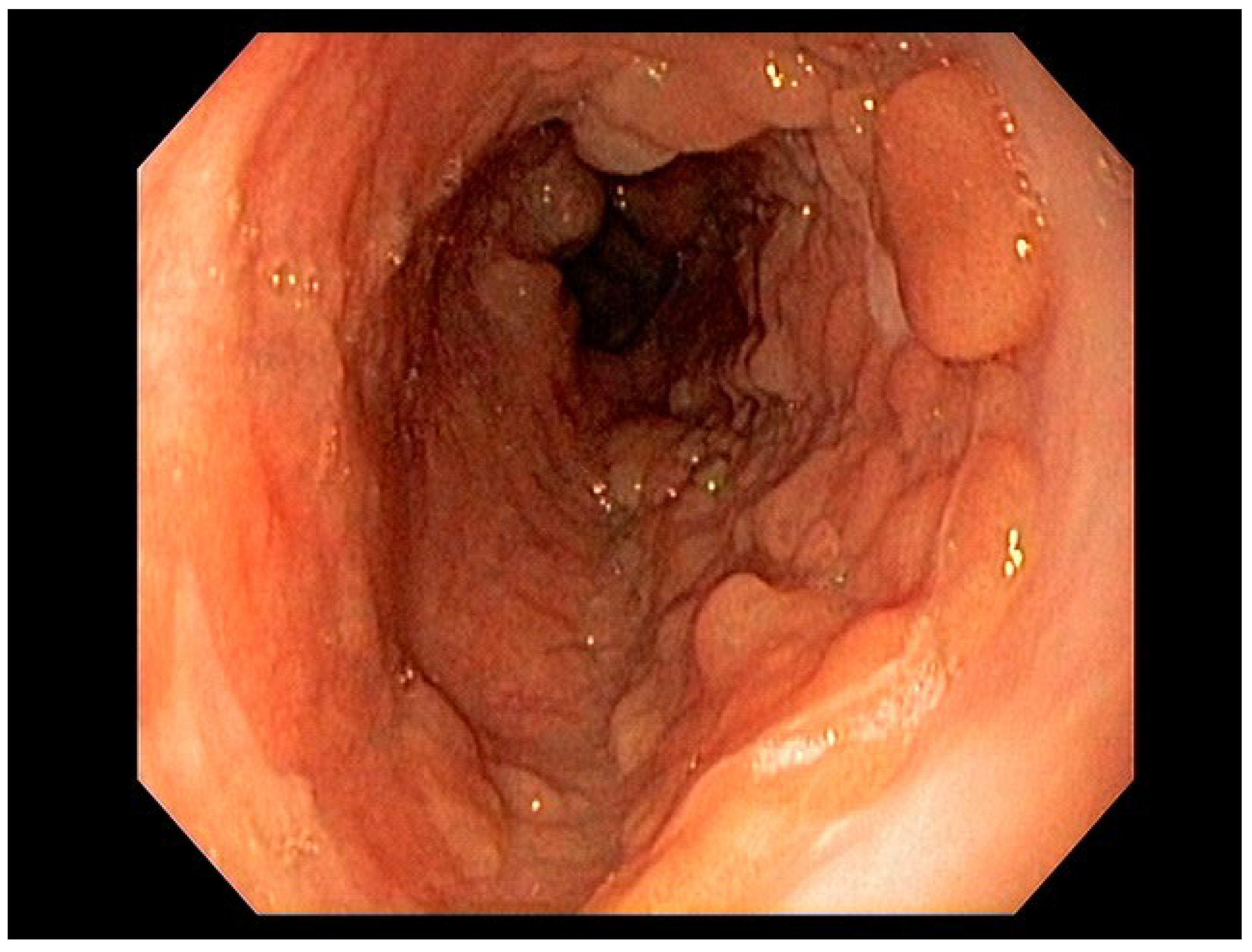 Preprints 167931 g011