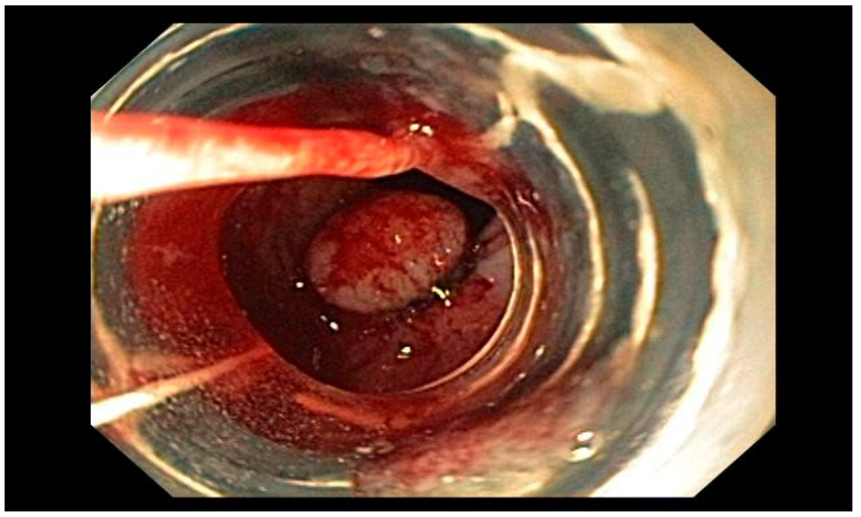 Preprints 167931 g012