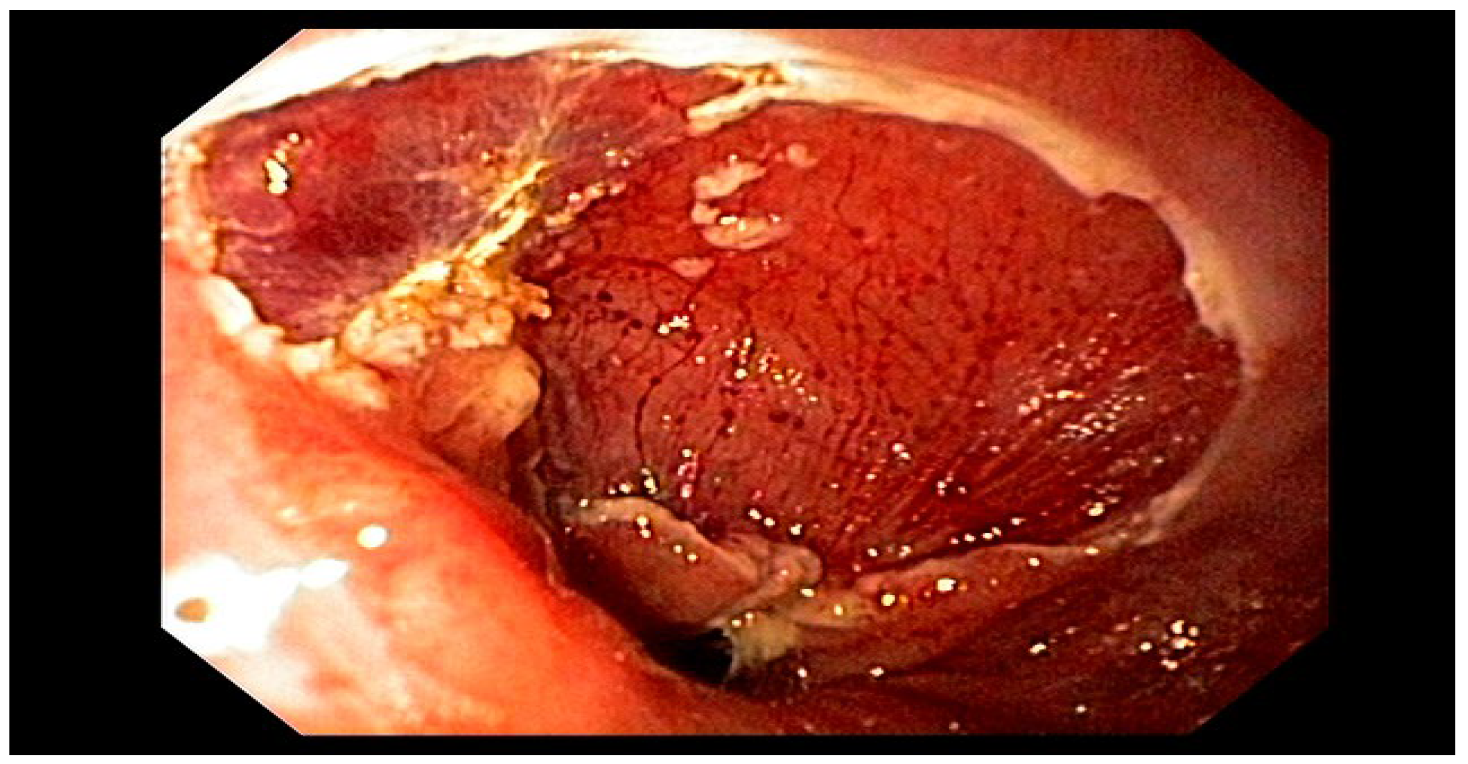 Preprints 167931 g013