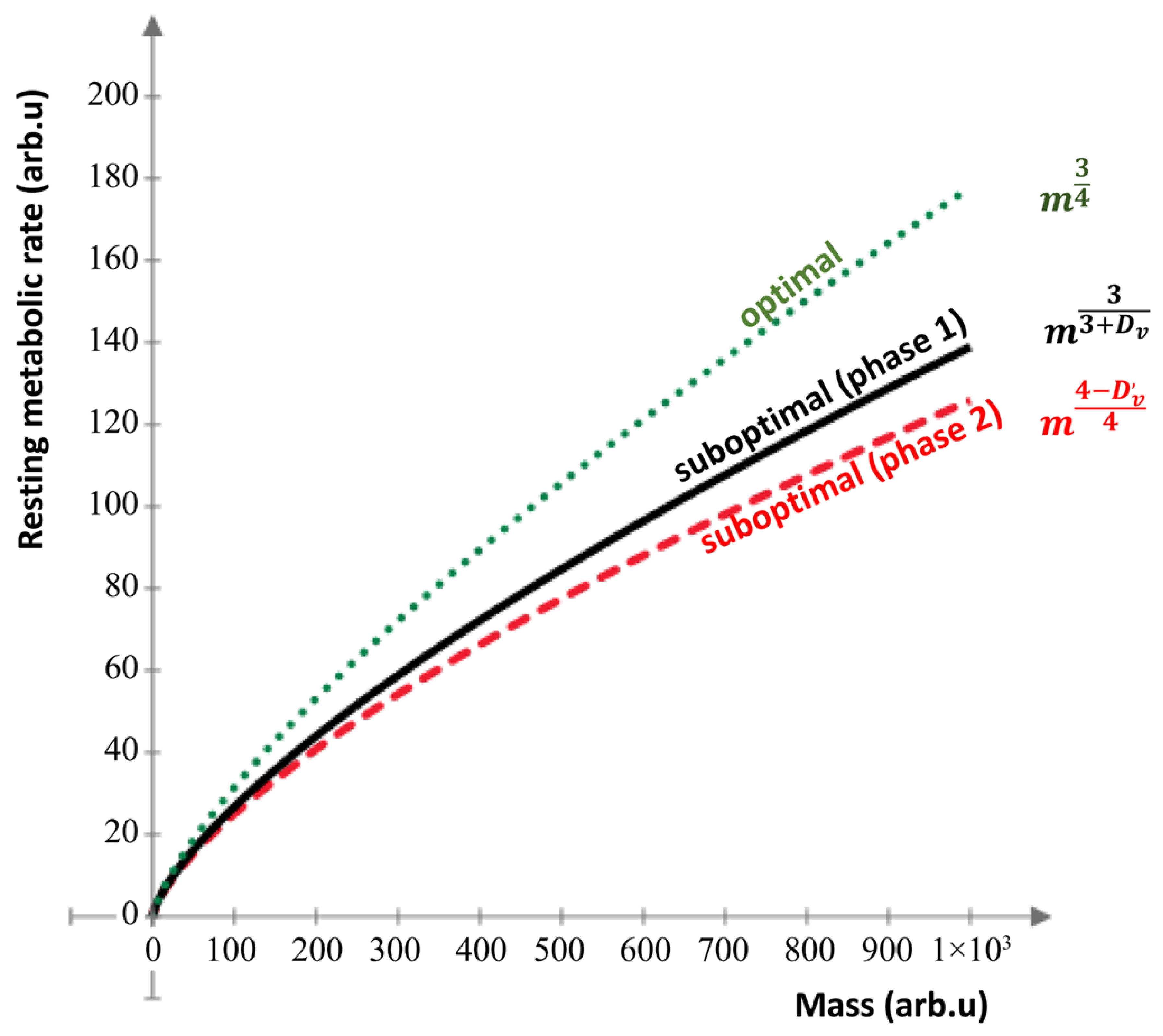 Preprints 167931 g014