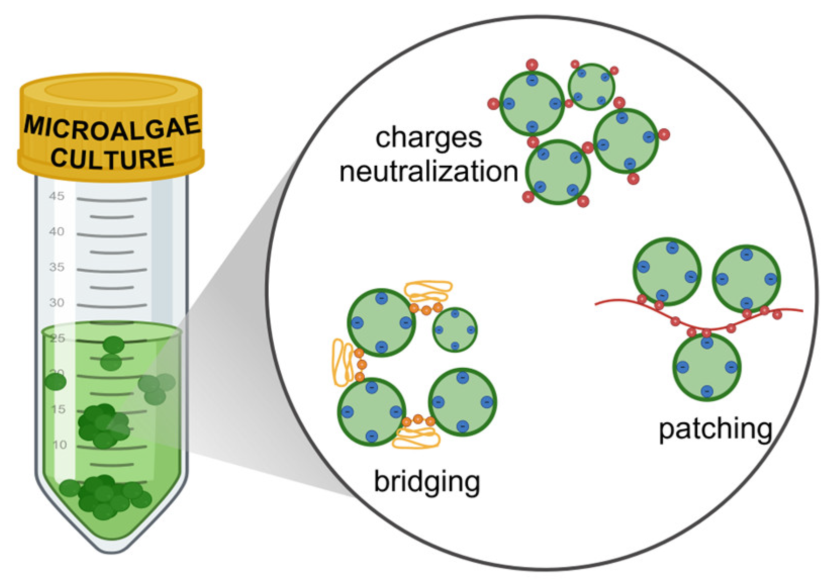 Preprints 152029 g001