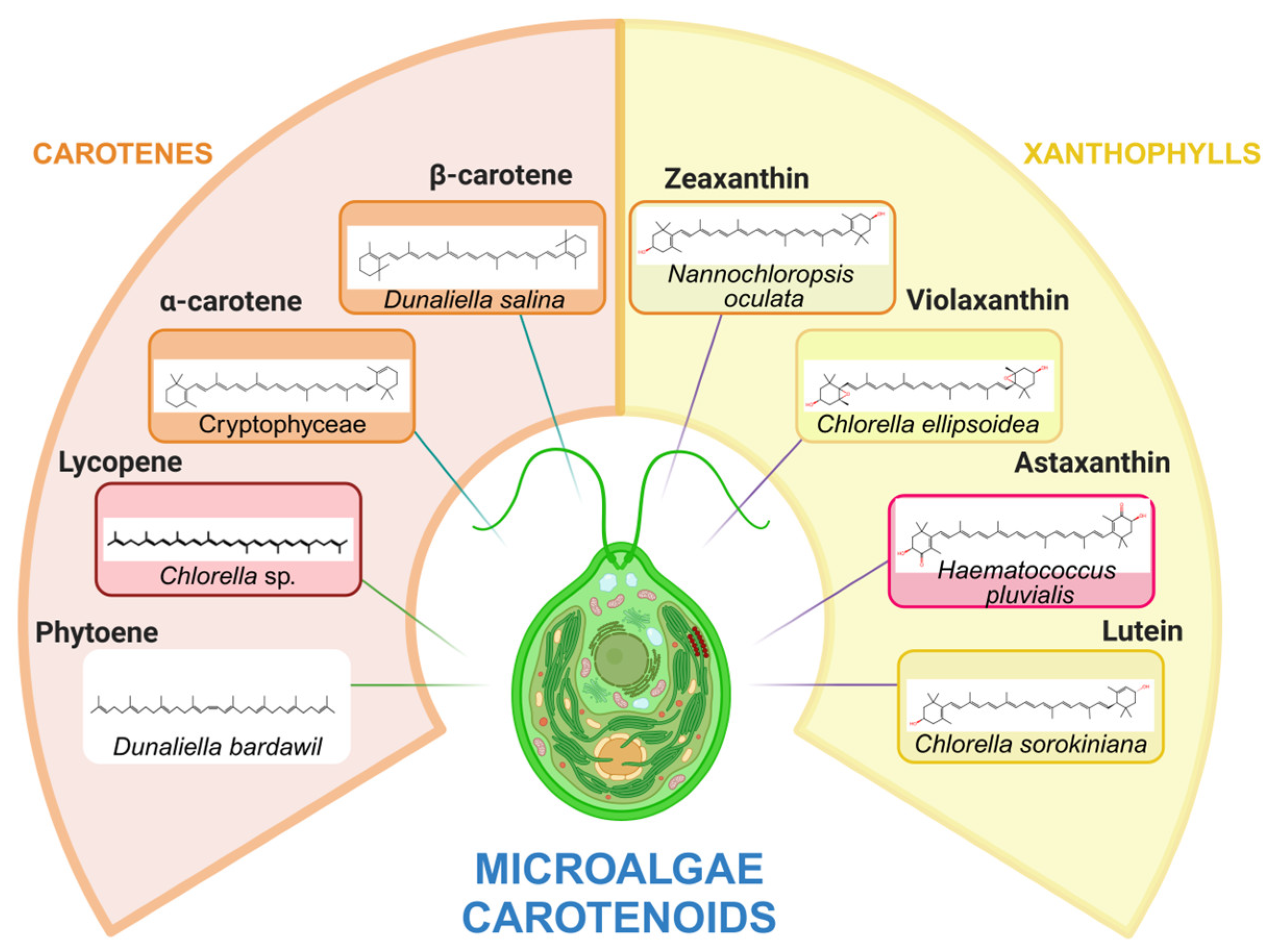 Preprints 152029 g002