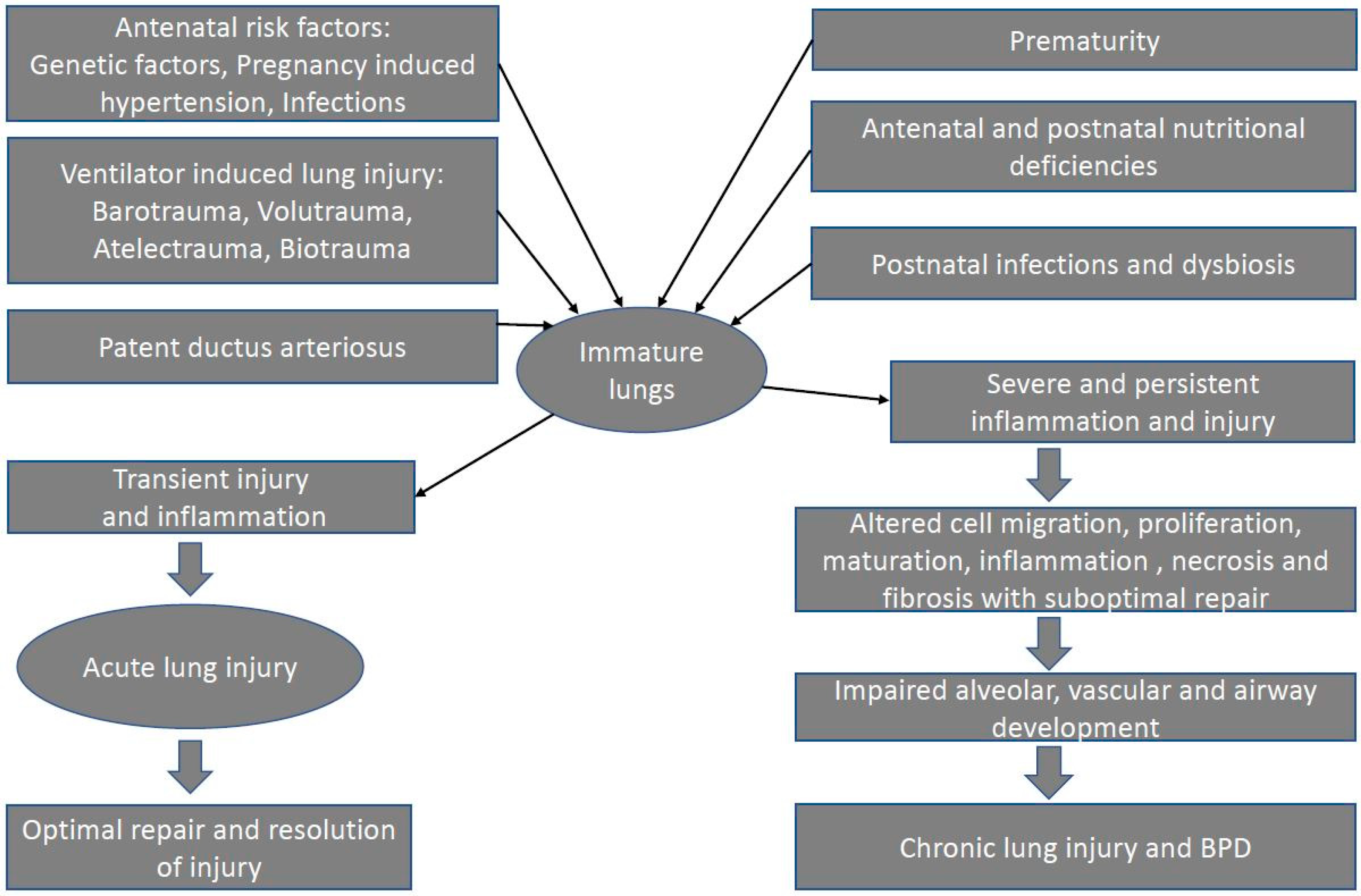 Preprints 73119 g001