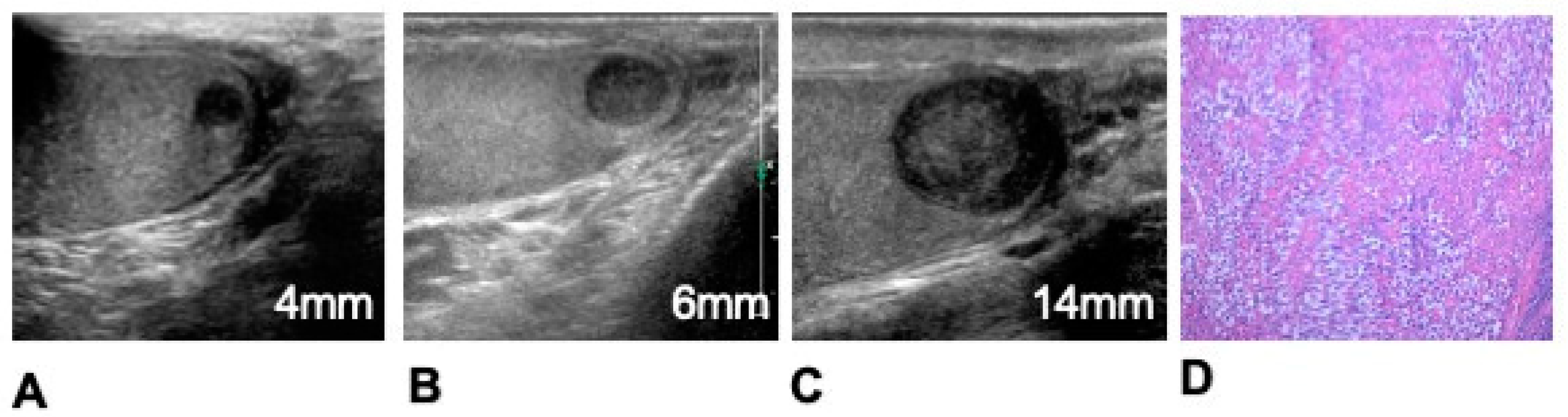 Preprints 82477 g001