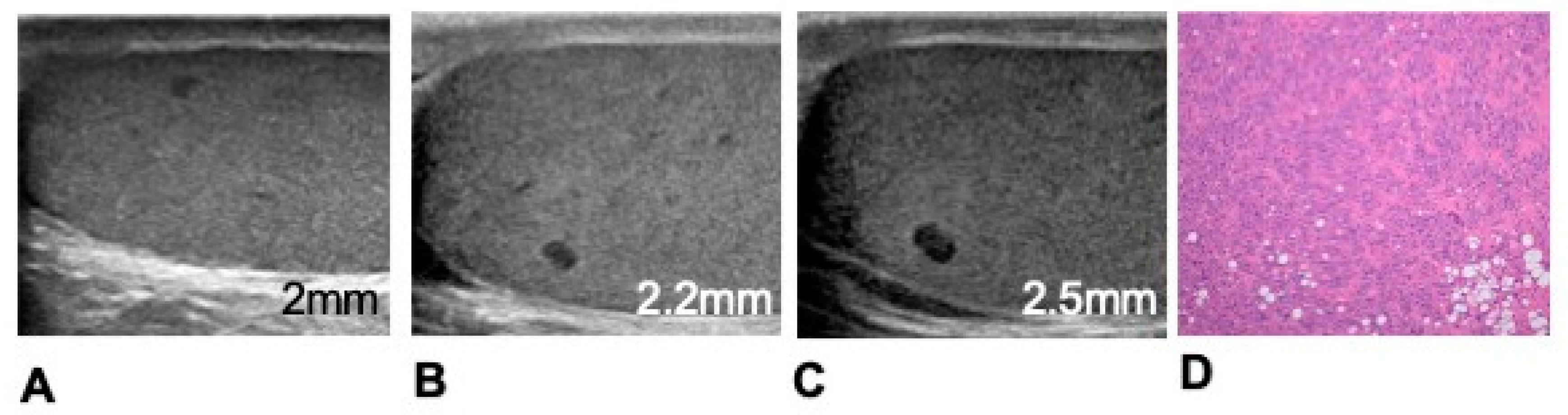 Preprints 82477 g002
