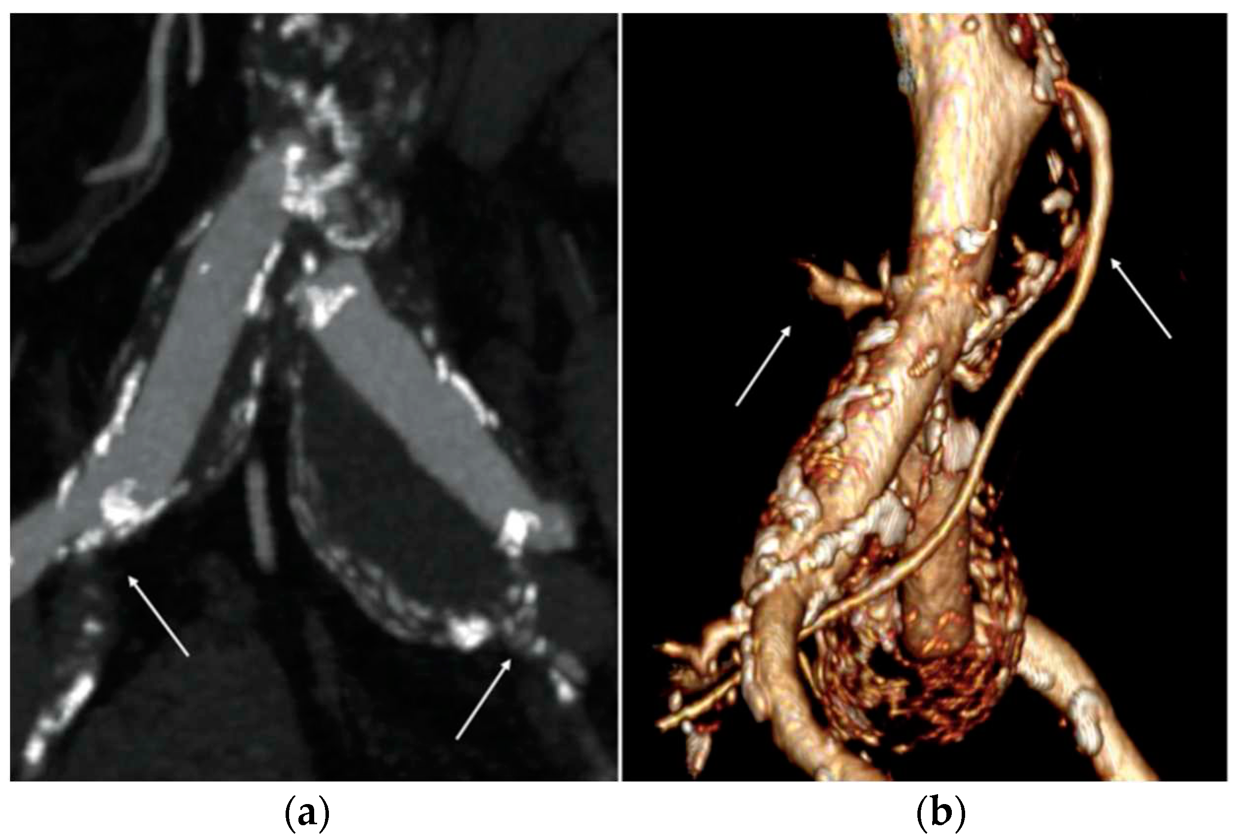 Preprints 91830 g001