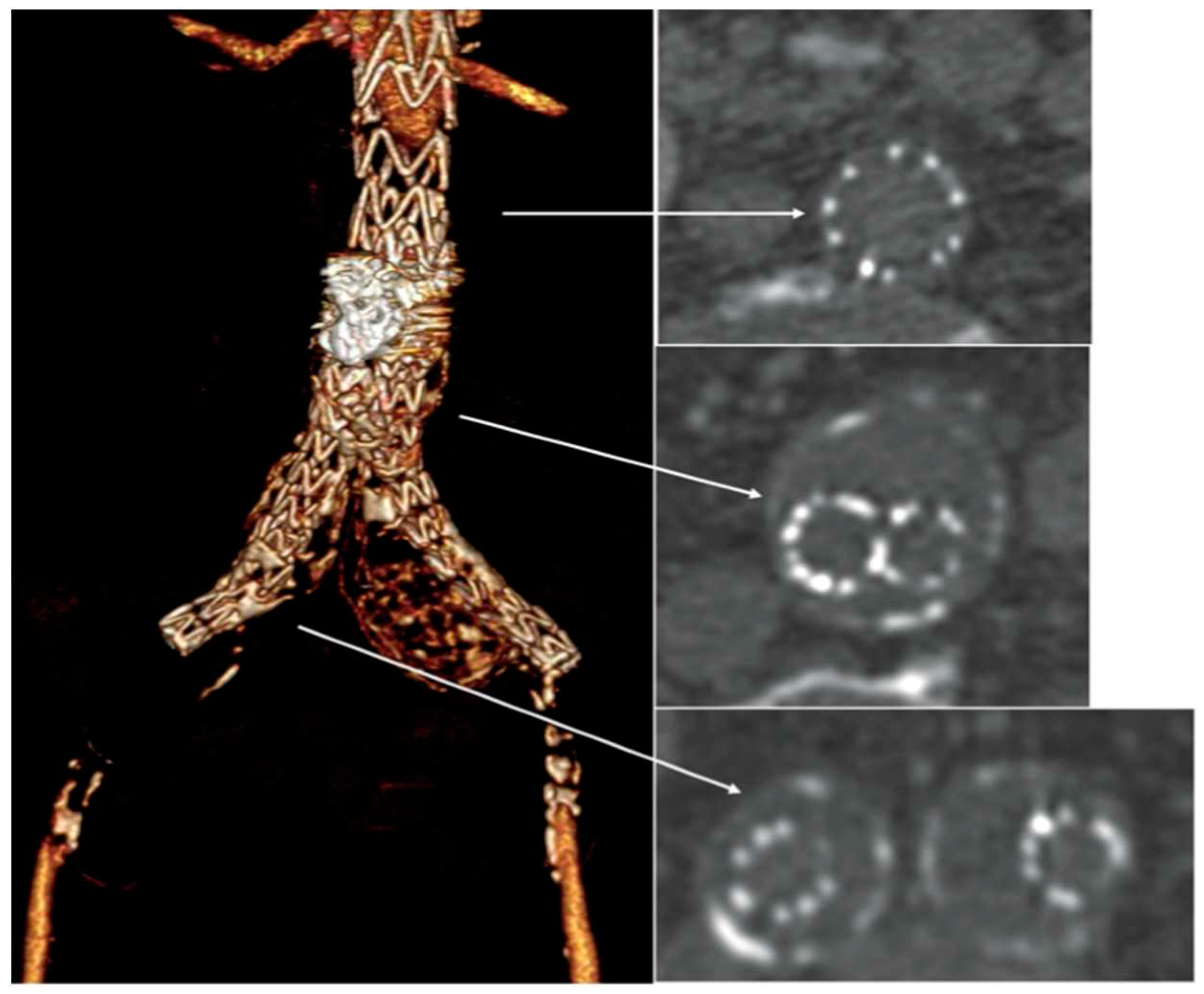 Preprints 91830 g002