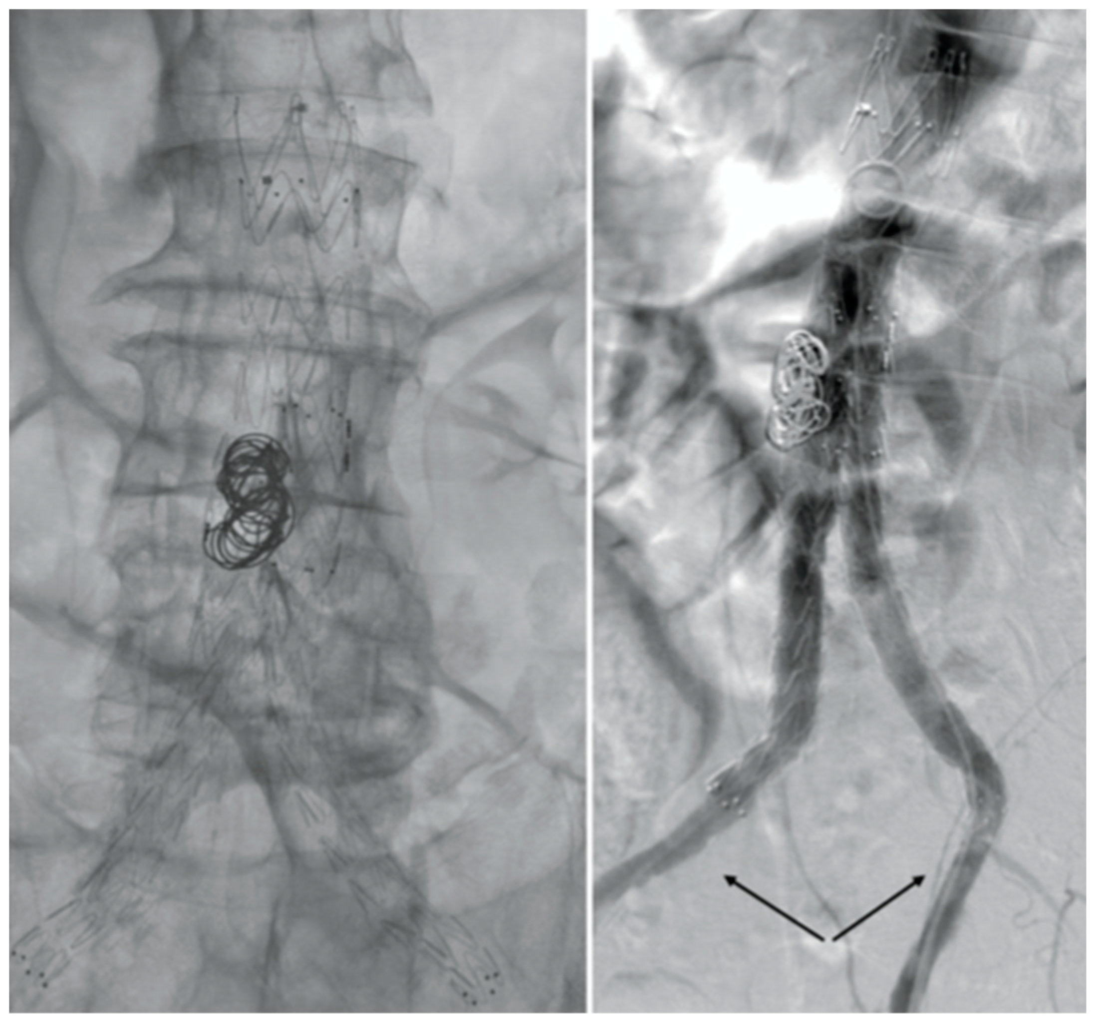 Preprints 91830 g003