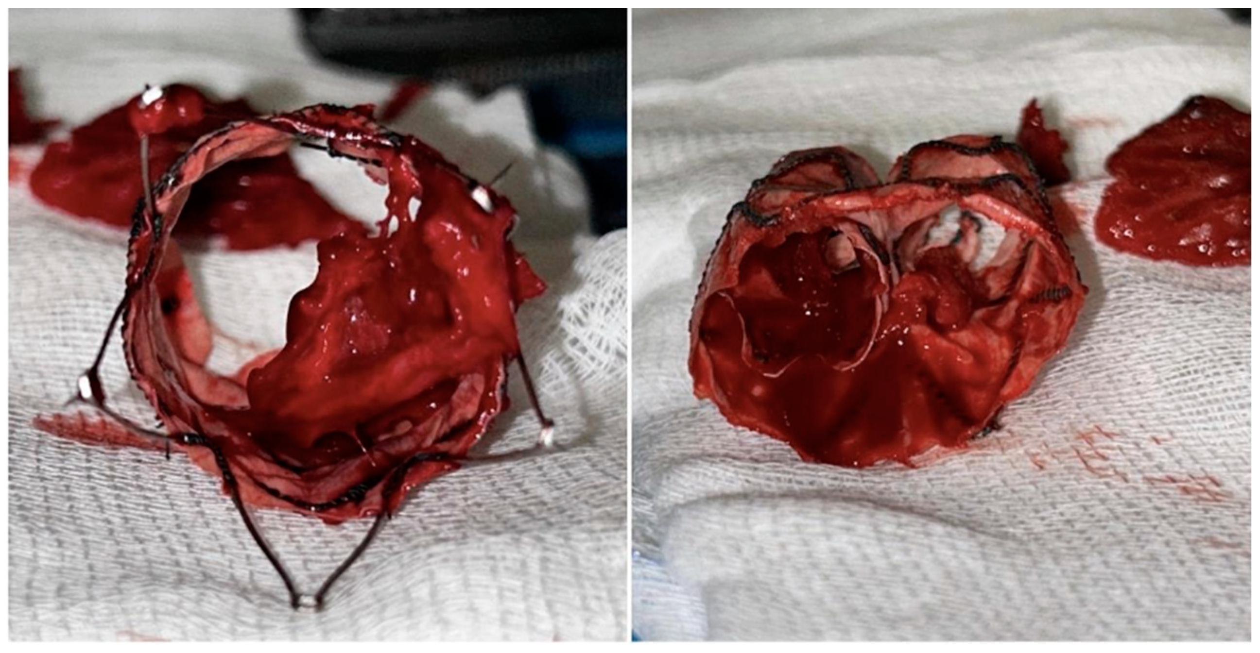 Preprints 91830 g005