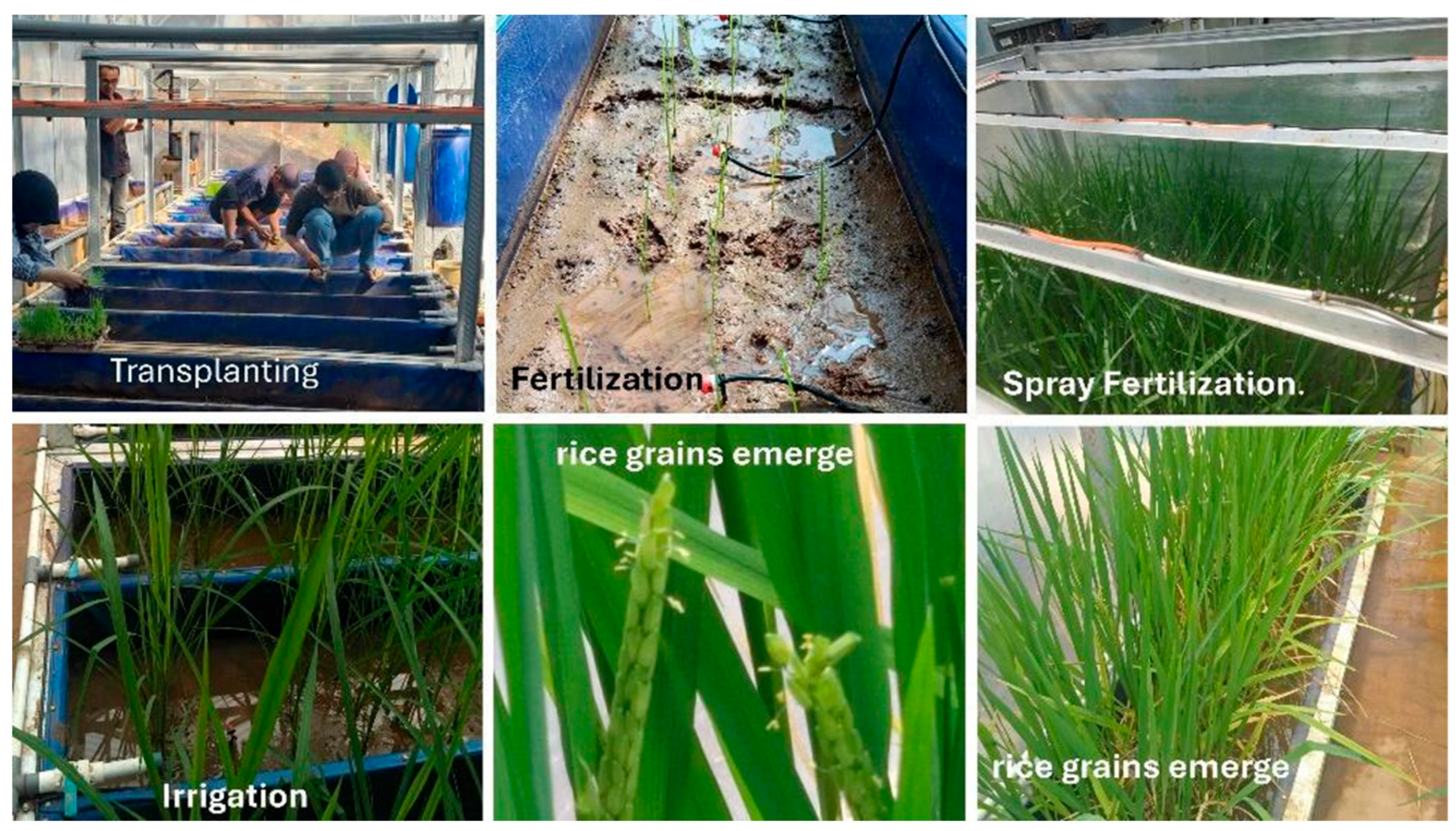 Preprints 178716 g014