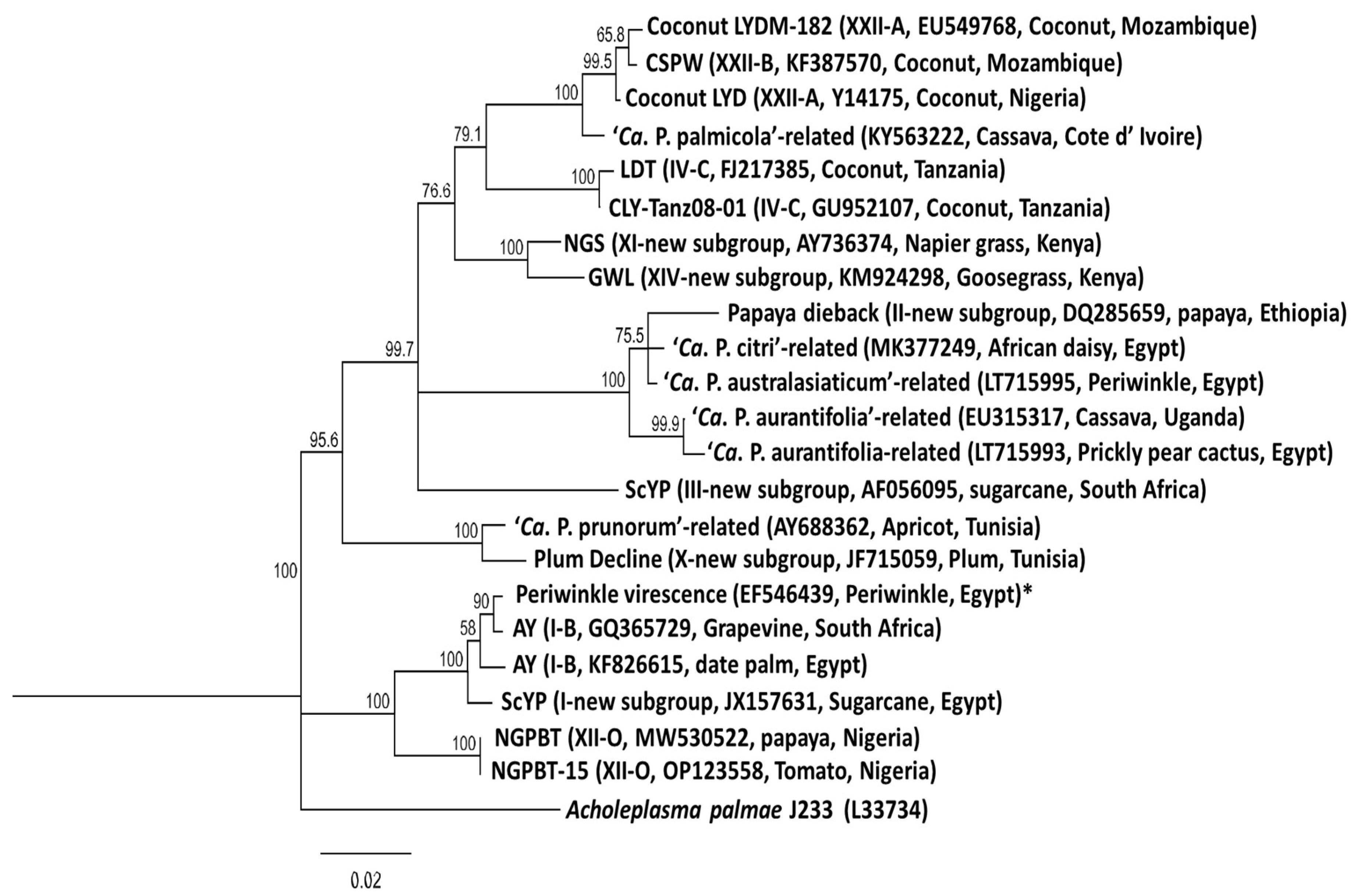 Preprints 152054 g001
