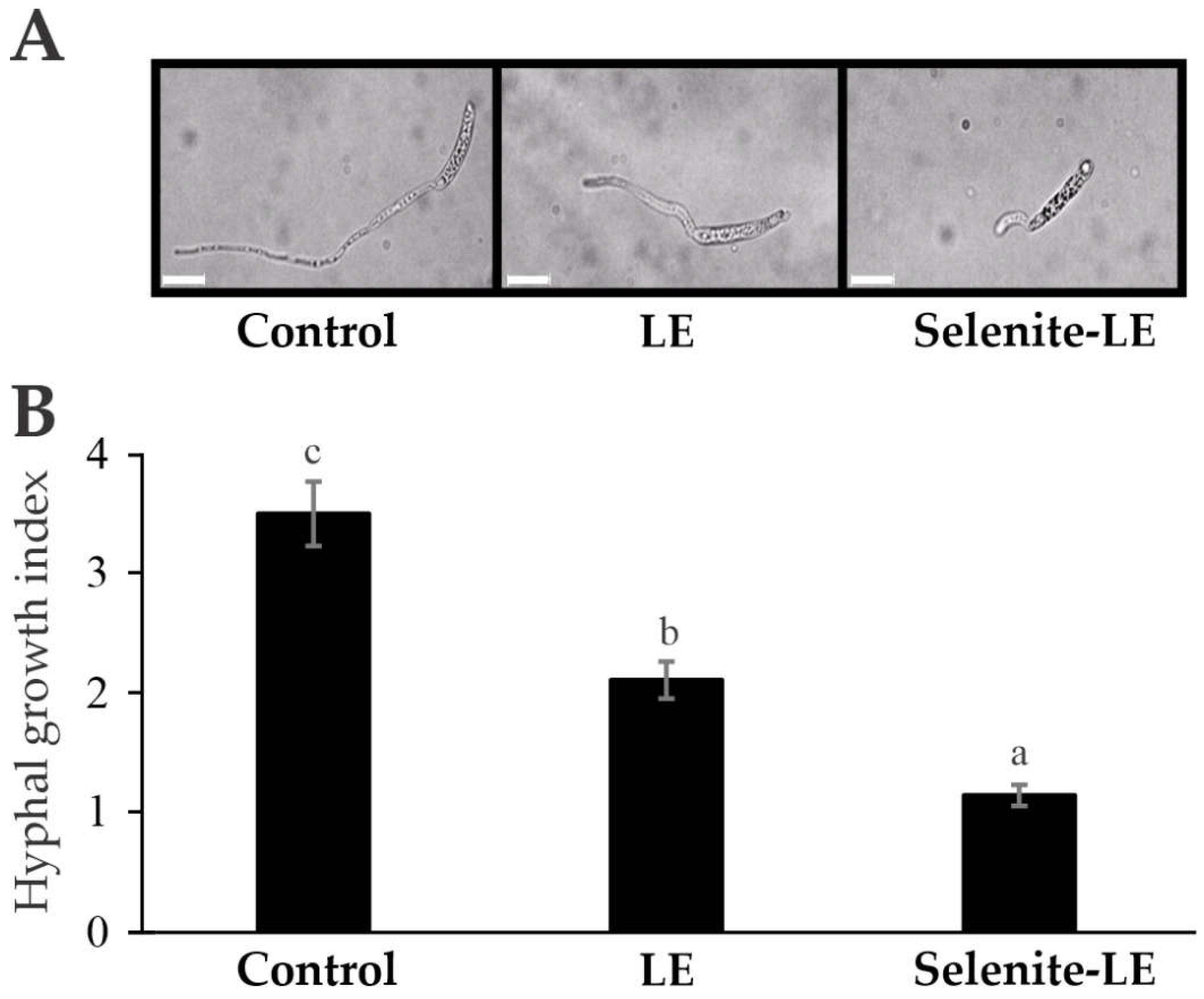 Preprints 144043 g003