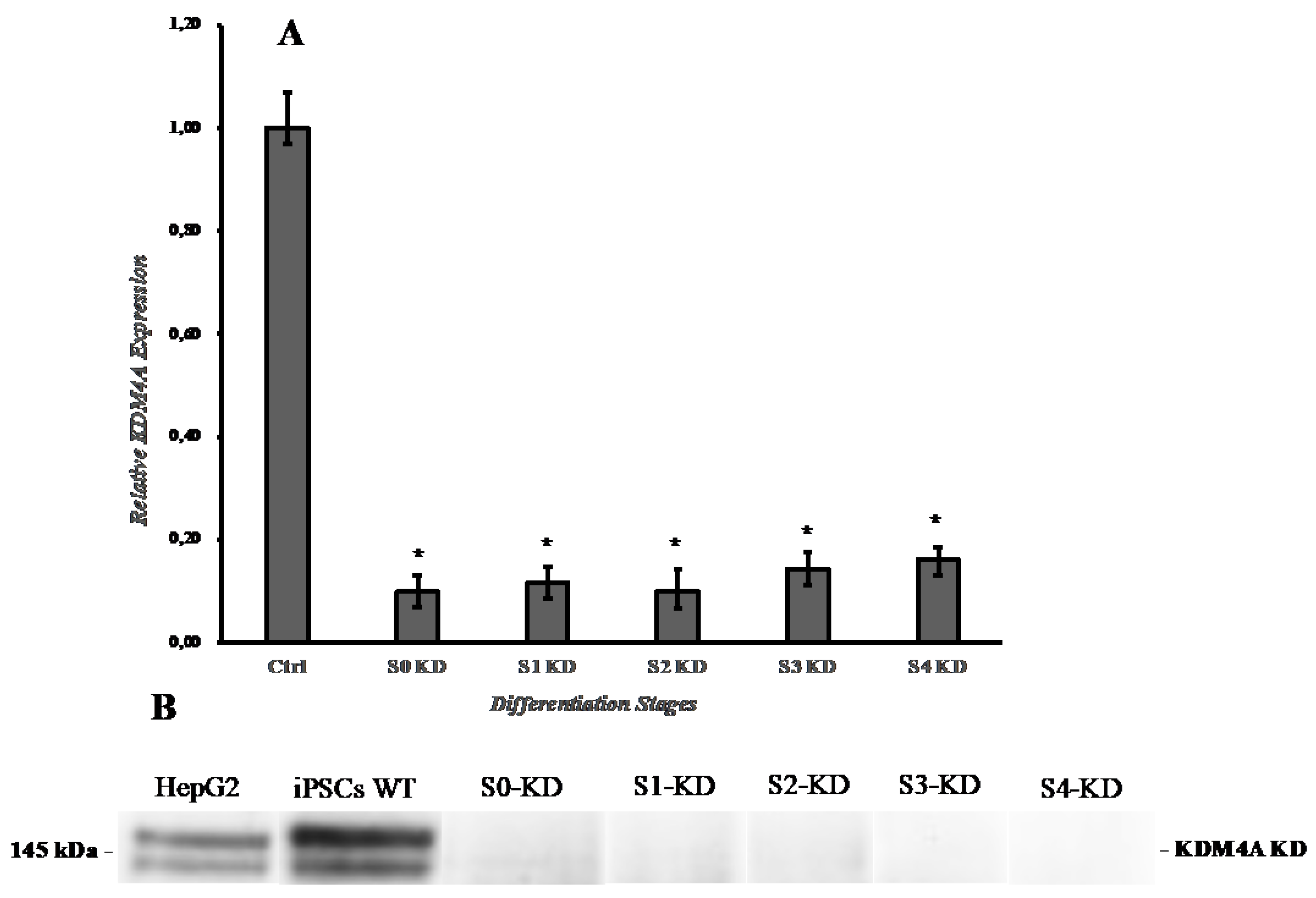 Preprints 160187 g001