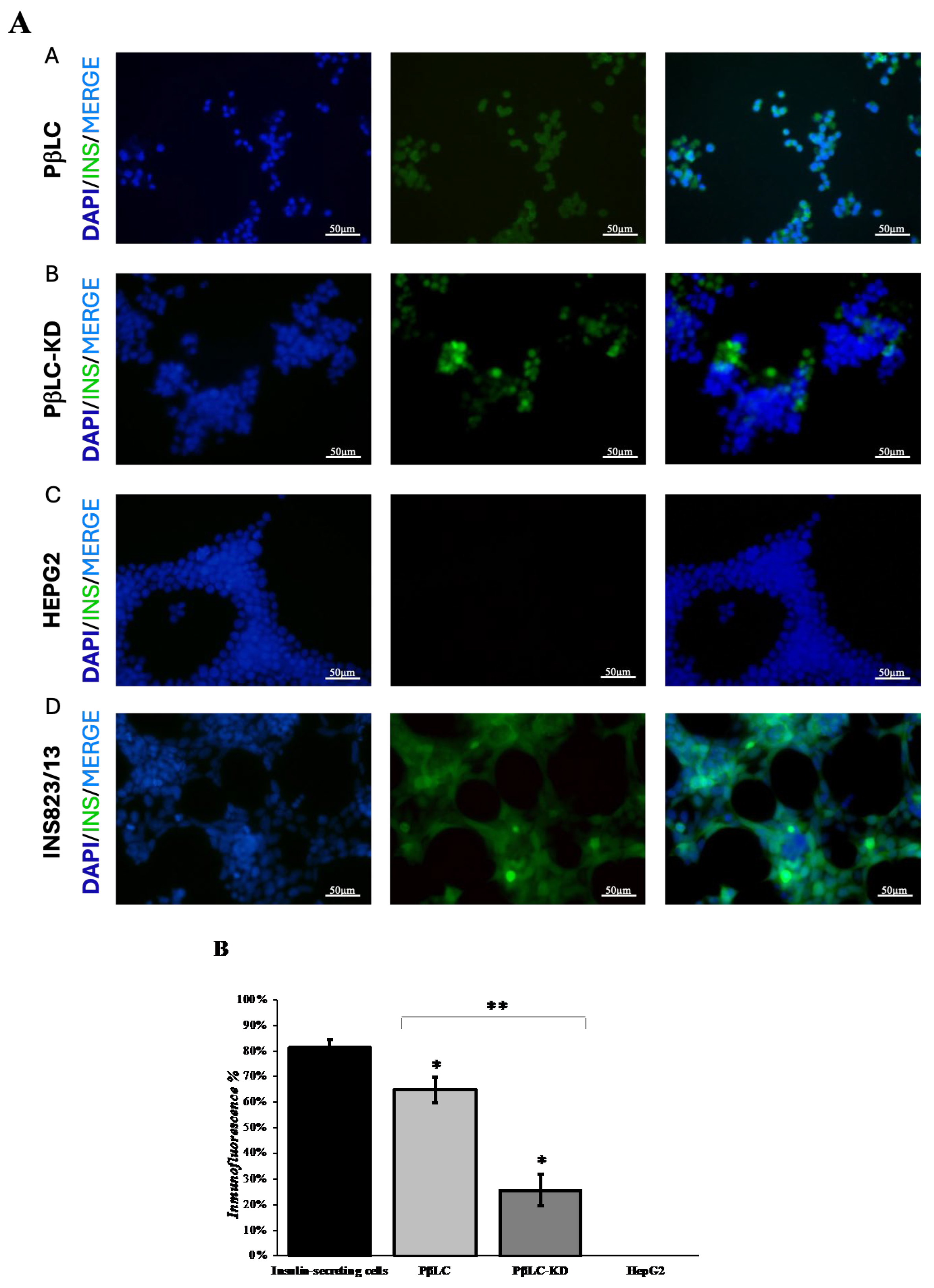 Preprints 160187 g006