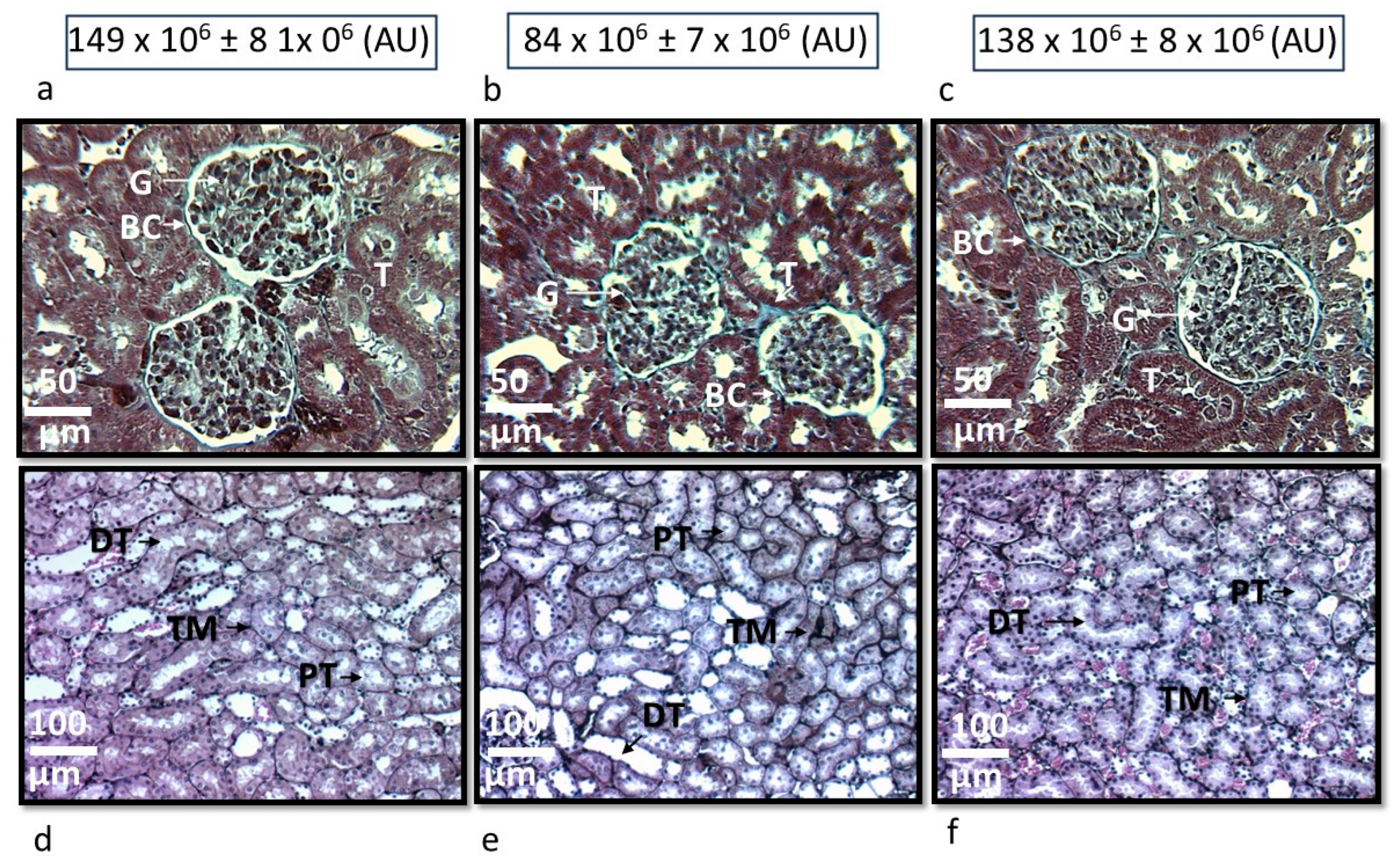 Preprints 198234 g002