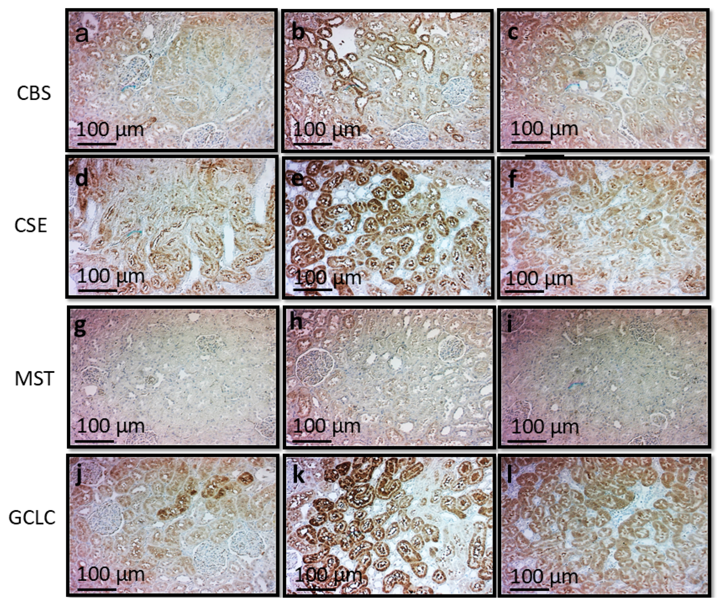 Preprints 198234 g003