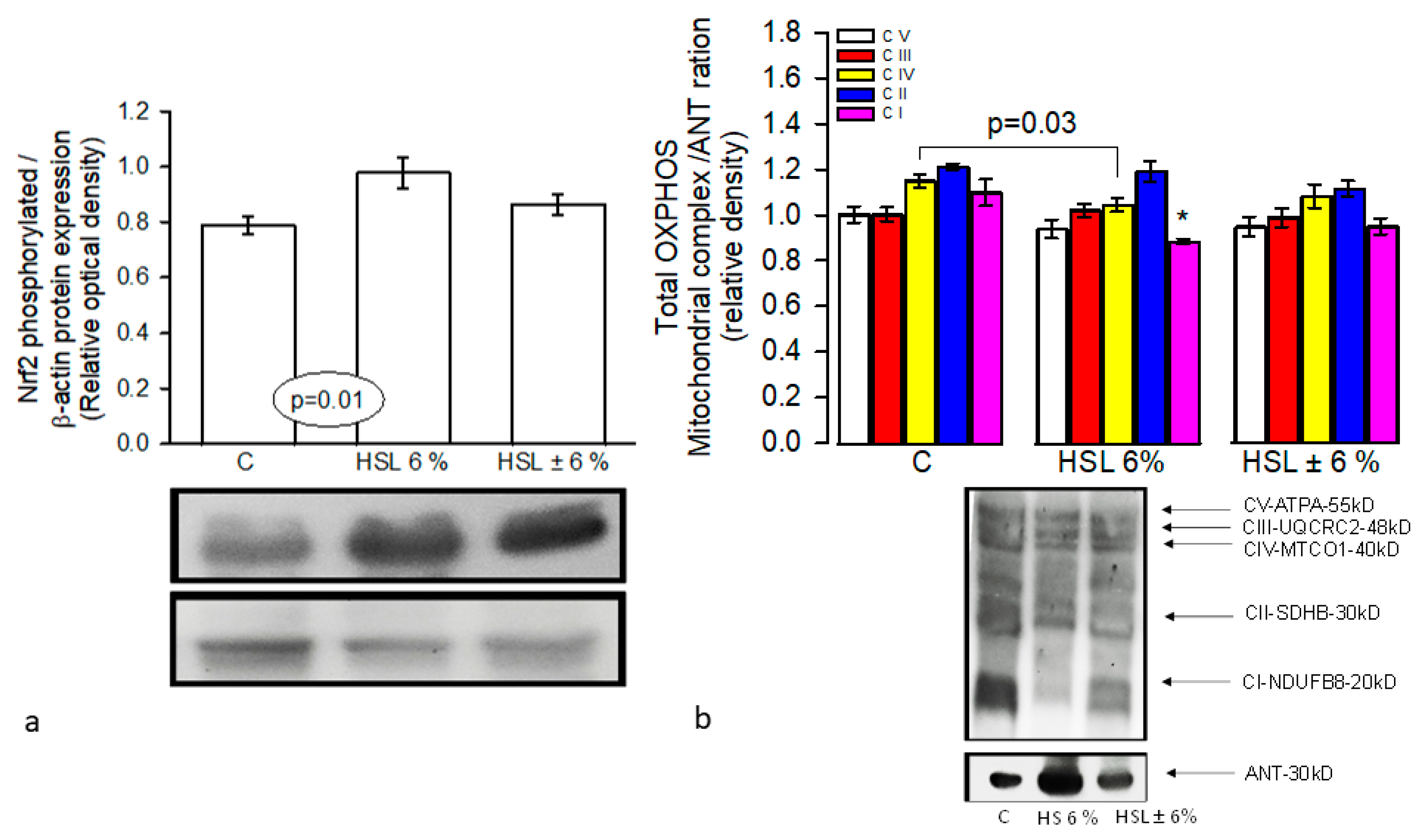 Preprints 198234 g007